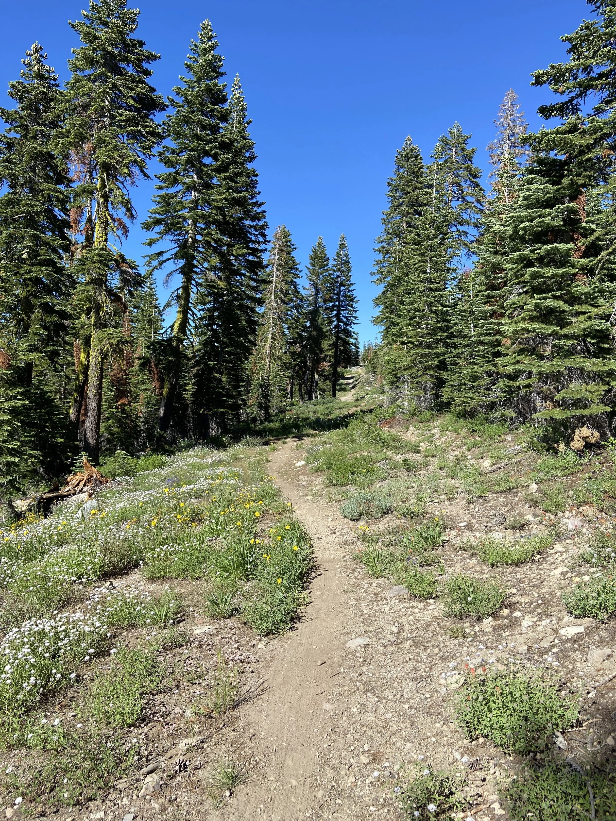 The best thing for your fitness that you’re probably not doing enough of