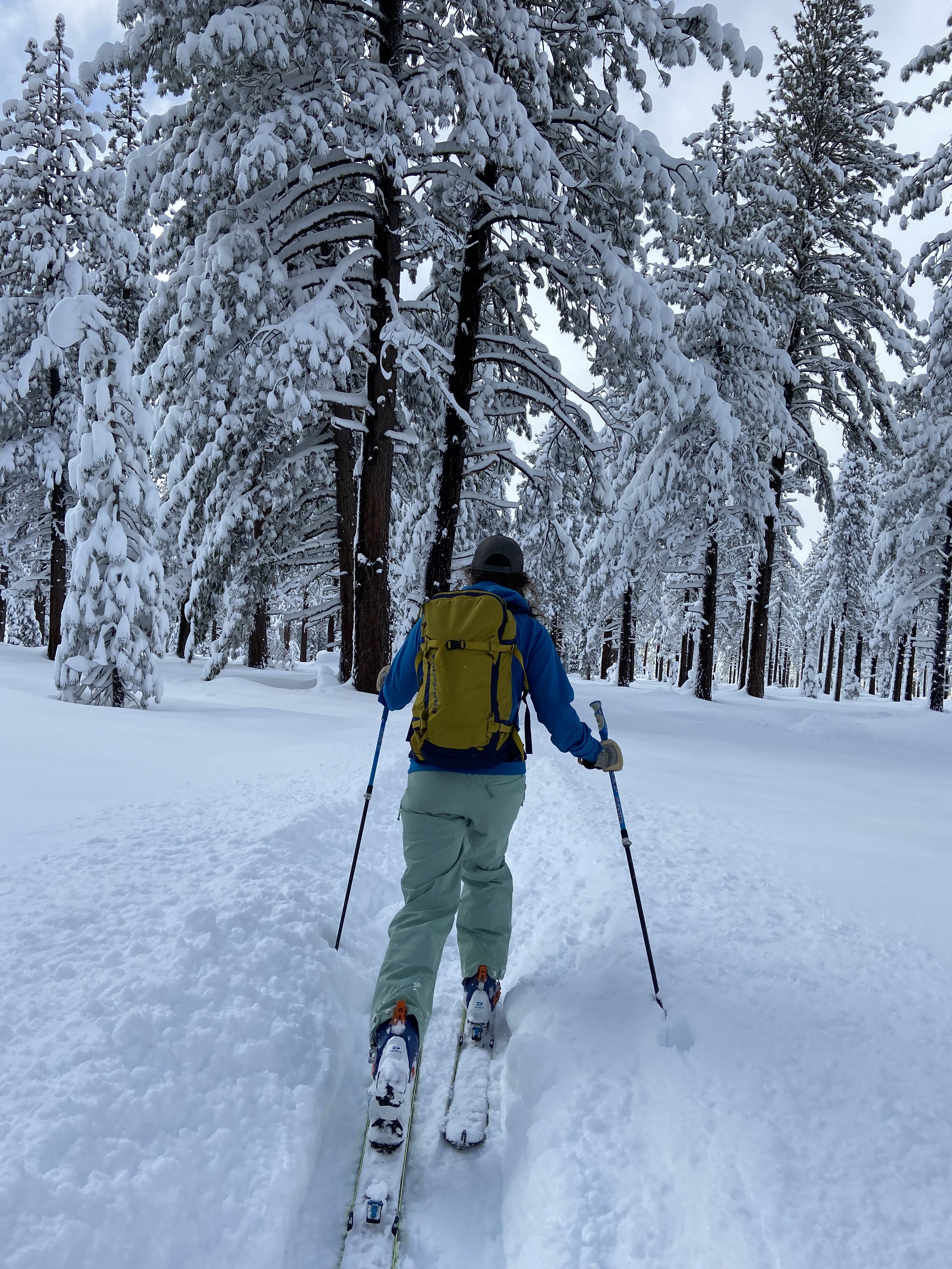 Ski Touring Training