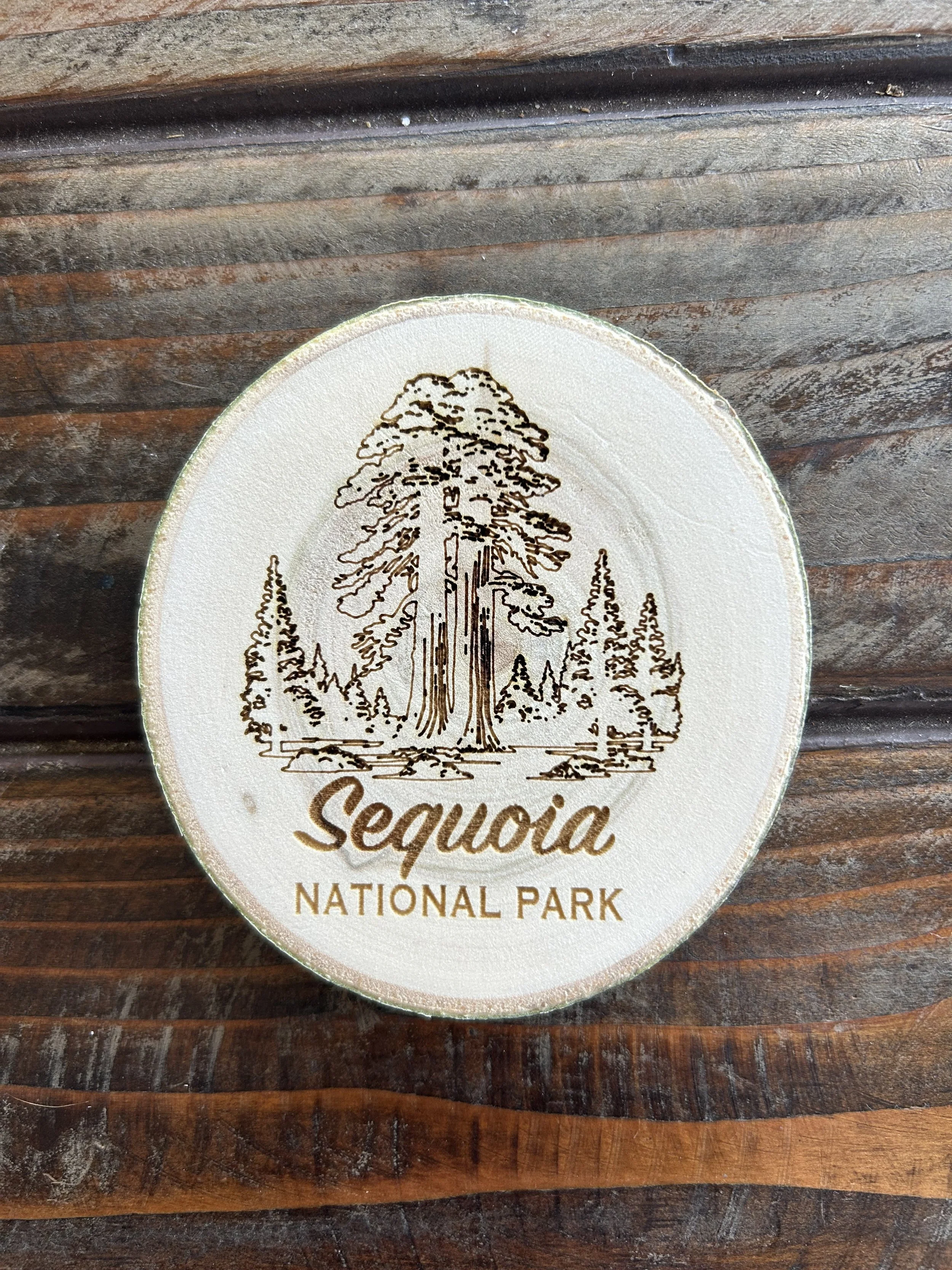 Sequoia National Park Coaster