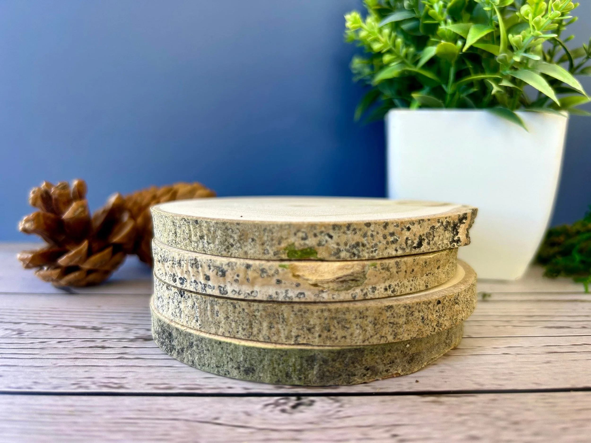 https://i.etsystatic.com/23379644/r/il/f38829/5977699750/il_fullxfull.5977699750_tk8q.jpg