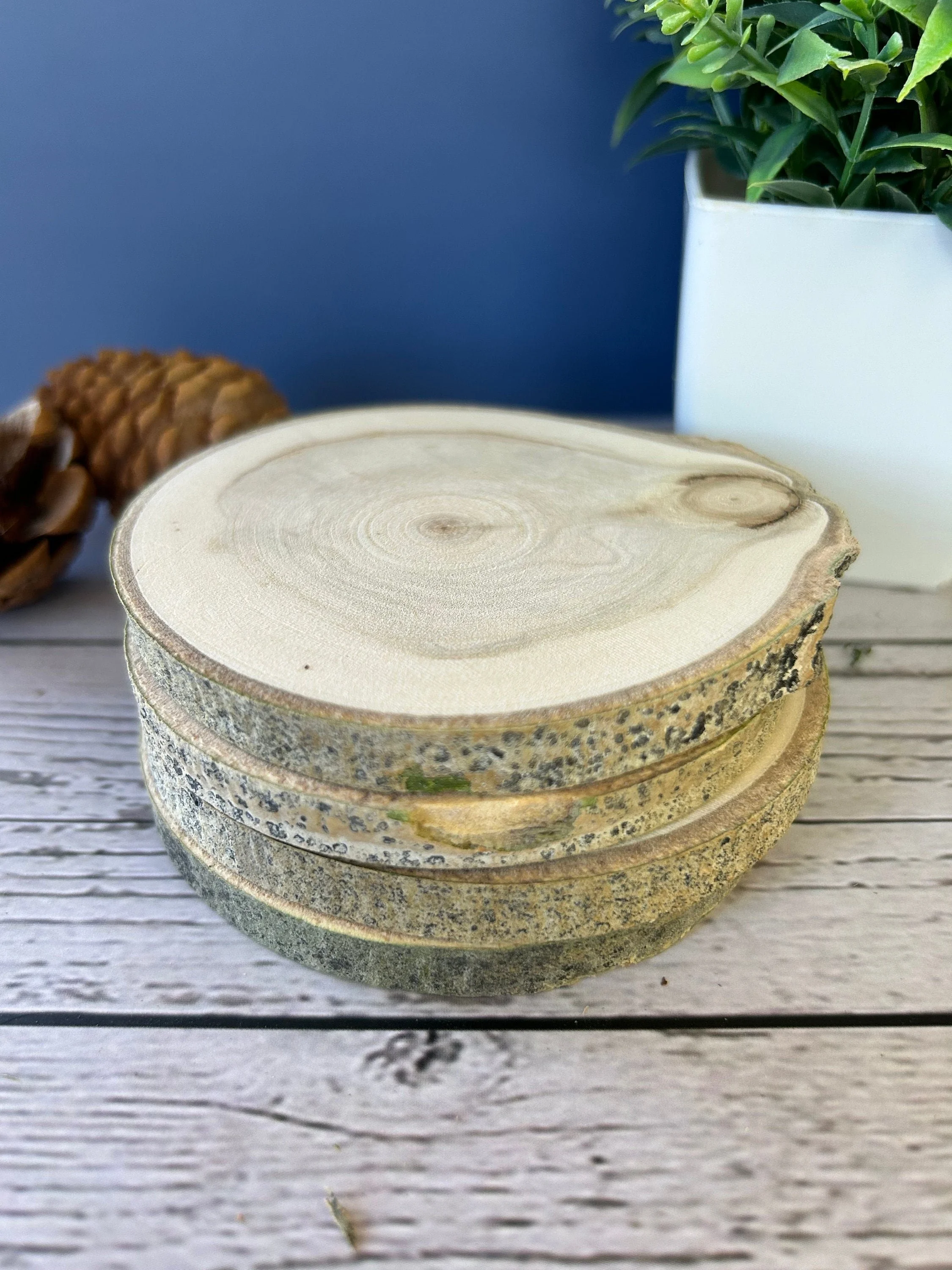 https://i.etsystatic.com/23379644/r/il/e7a249/5977697828/il_fullxfull.5977697828_nir4.jpg