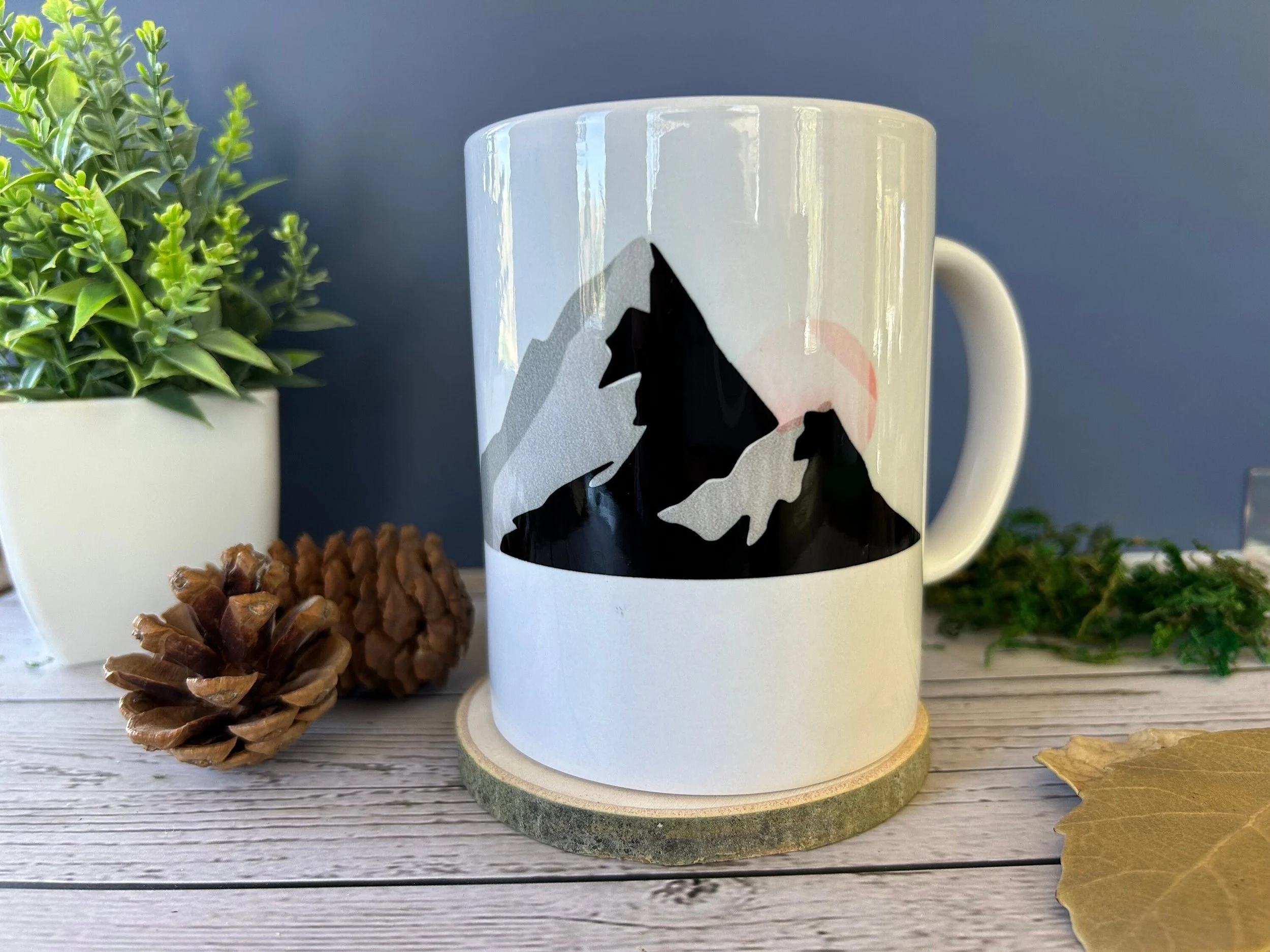 https://i.etsystatic.com/23379644/r/il/22bdb9/5977697984/il_fullxfull.5977697984_3dbs.jpg