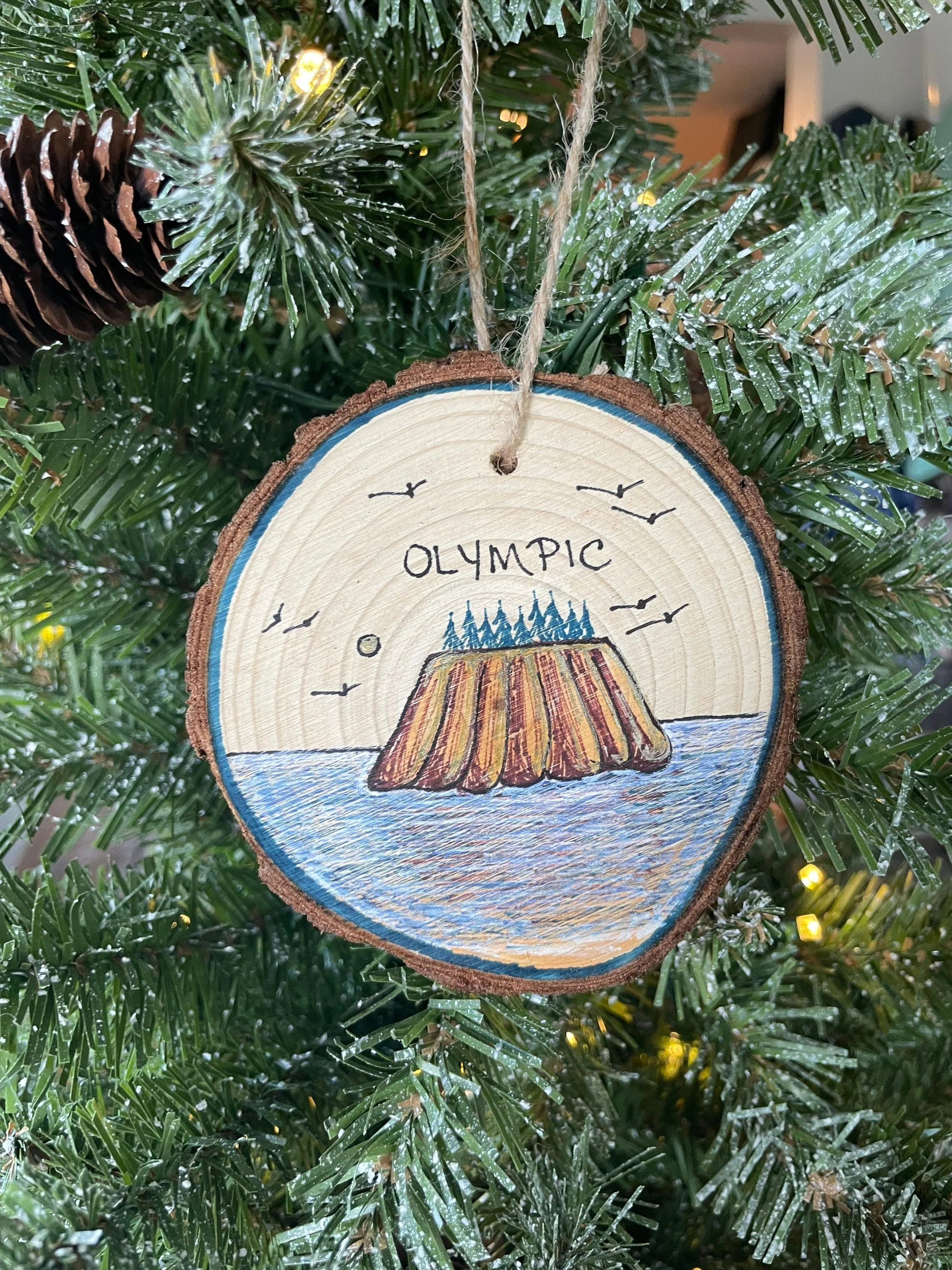 https://i.etsystatic.com/23379644/r/il/1aca84/3941552367/il_fullxfull.3941552367_qmfy.jpg