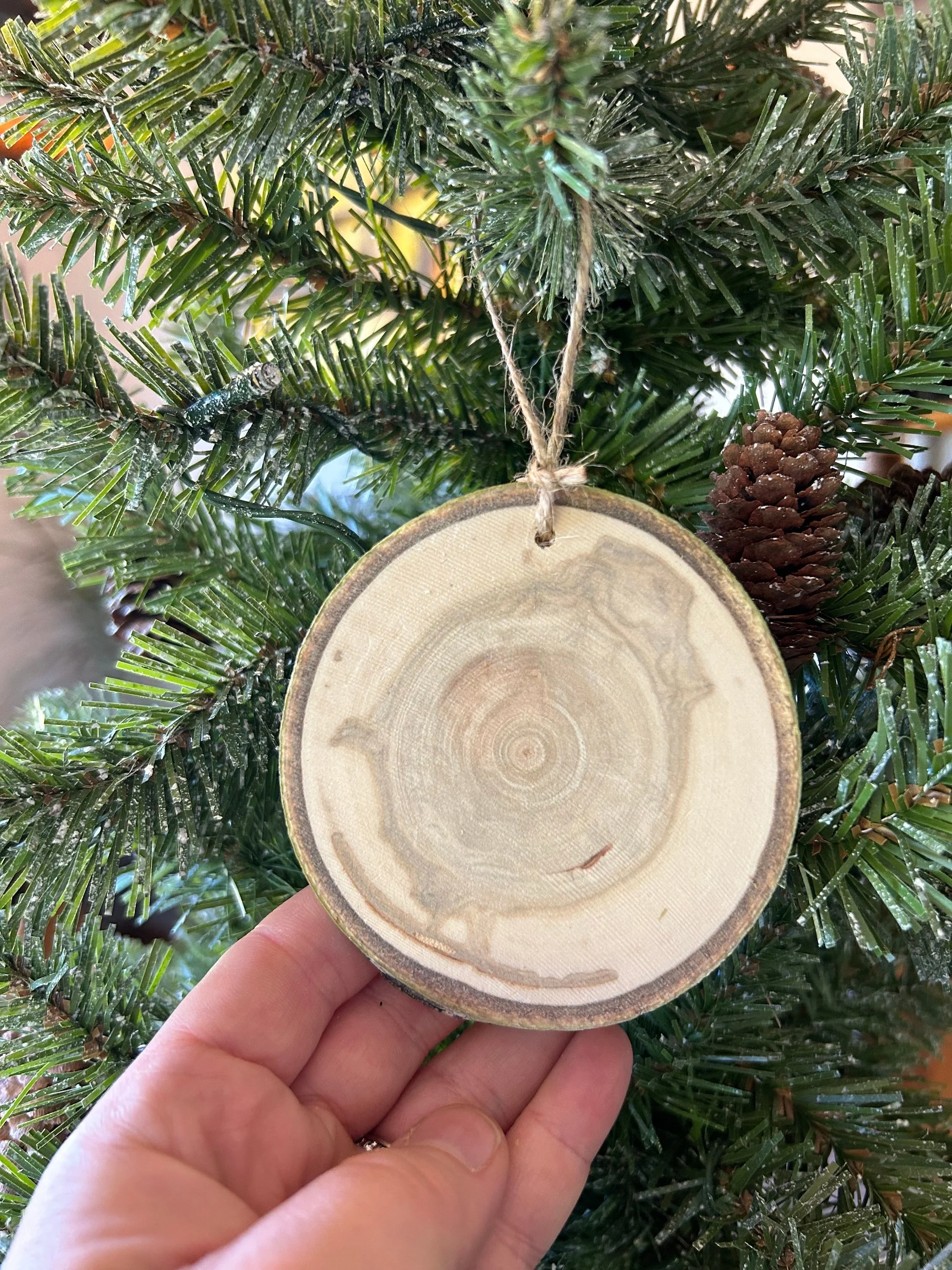 https://i.etsystatic.com/23379644/r/il/4fc7c1/5316265702/il_fullxfull.5316265702_47jf.jpg