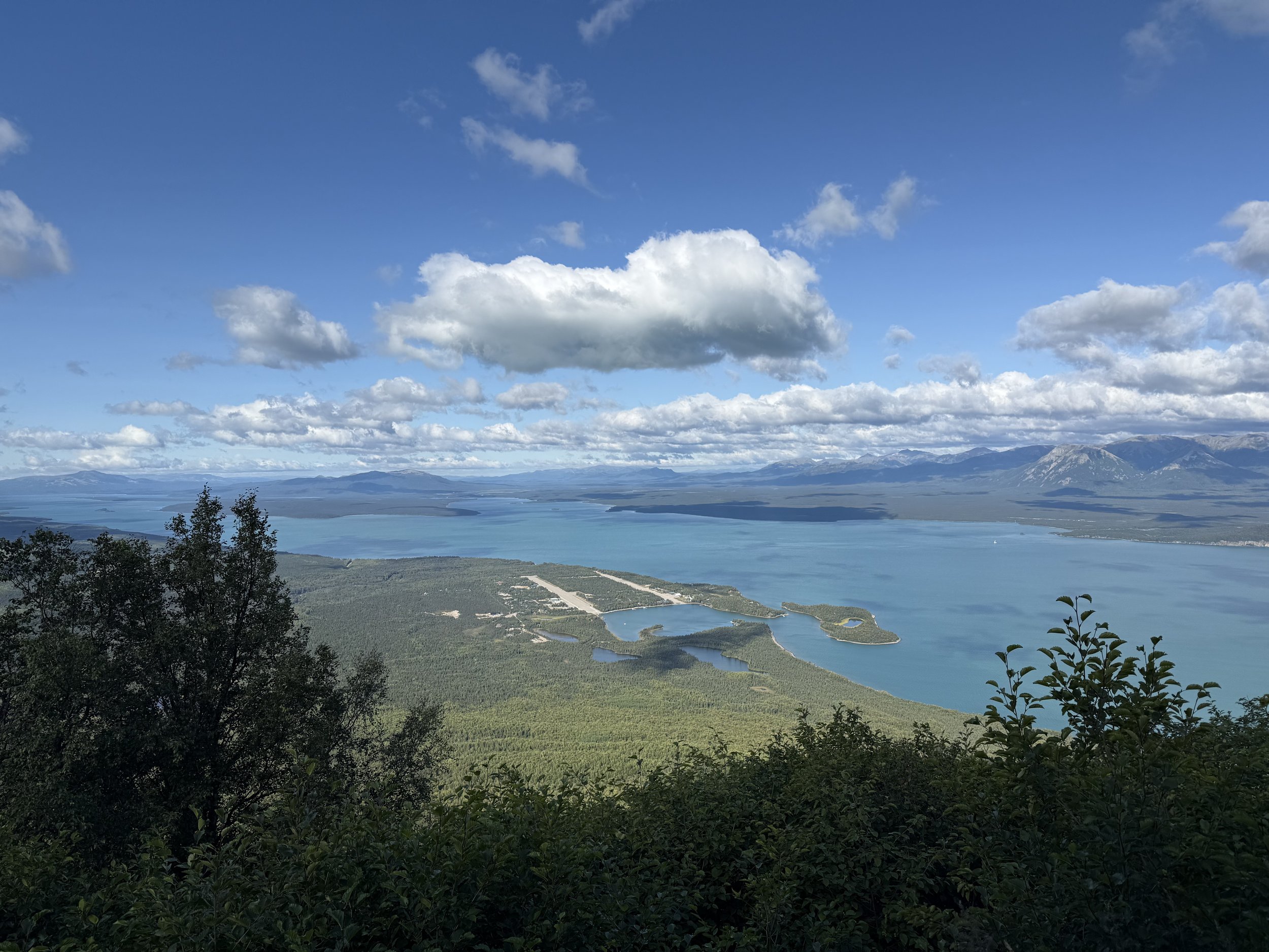 IMG_6186.jpeg