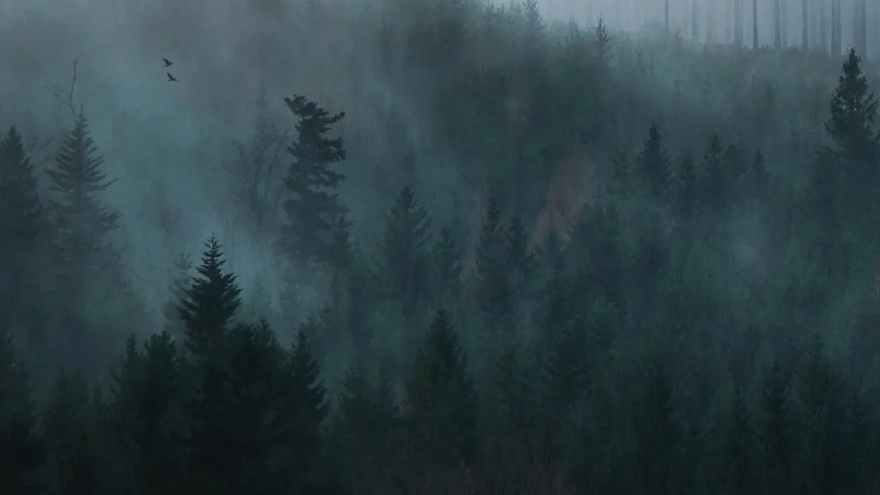 trees.jpg