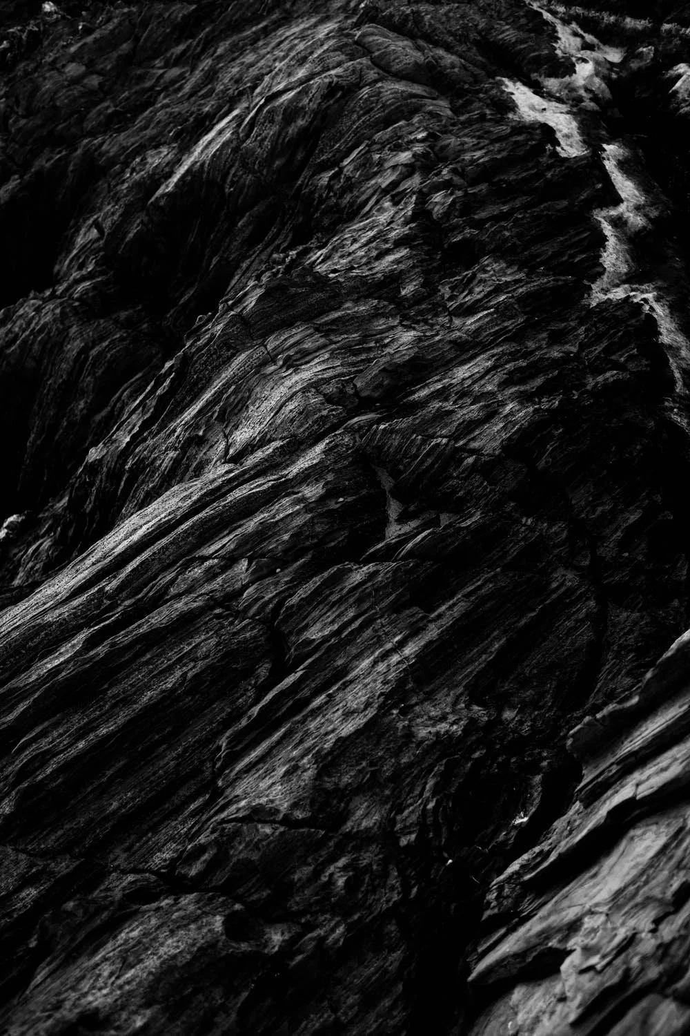 black-wood.jpg
