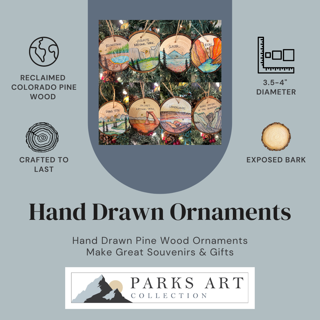 Hand drawn ornaments.png