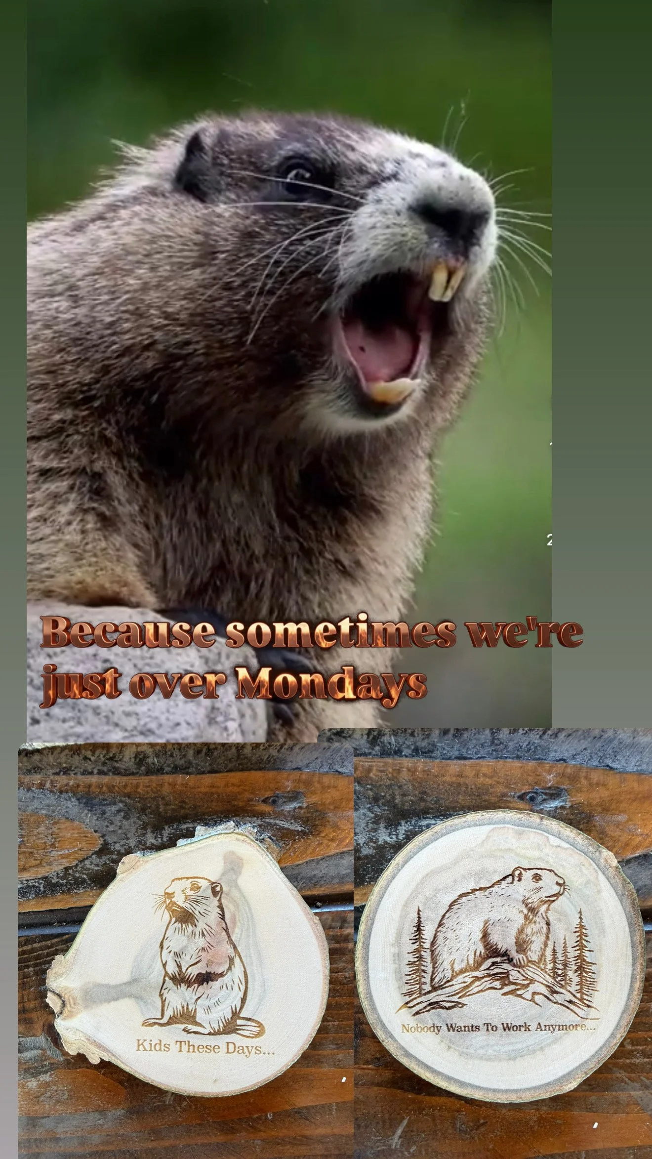BE9DFC6D-20C7-4036-A0E6-3AA65AD60A98.jpeg