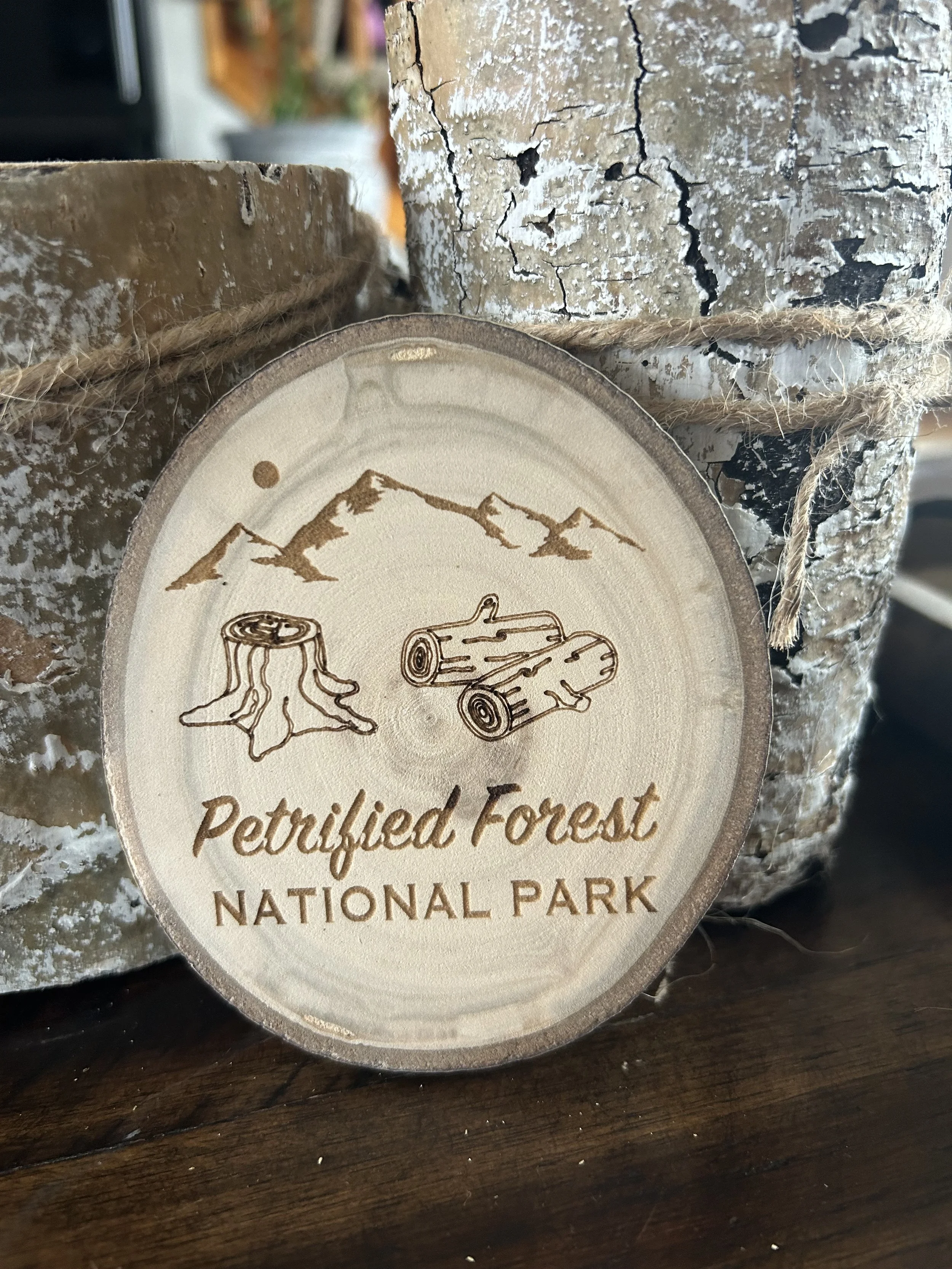 Petrified Forest National Park Coaster