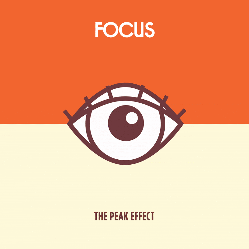 Focus_Eye_4_withtext.gif