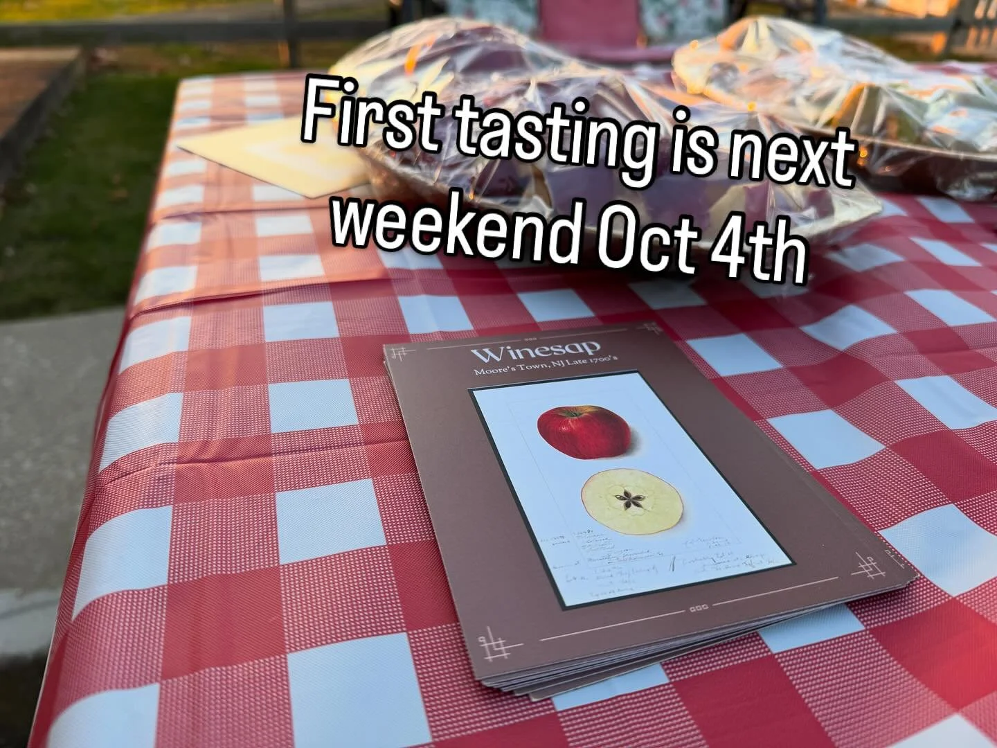 We have 4 spots left for the tasting next weekend at the orchard. We will be featuring 10-12 different varieties and pulling out the cider press to make another batch. Send me a DM if you want to come. 5:30 start!