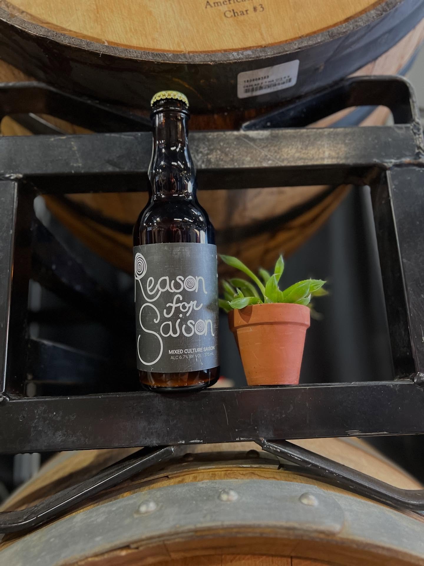 Anniversary release beer #4 is a very special one brewed in collaboration with our good friends @milieufermentation 

Reason For Saison is a mixed culture saison brewed with both of our favorite rustic grain - spelt. We combined both of our house cul