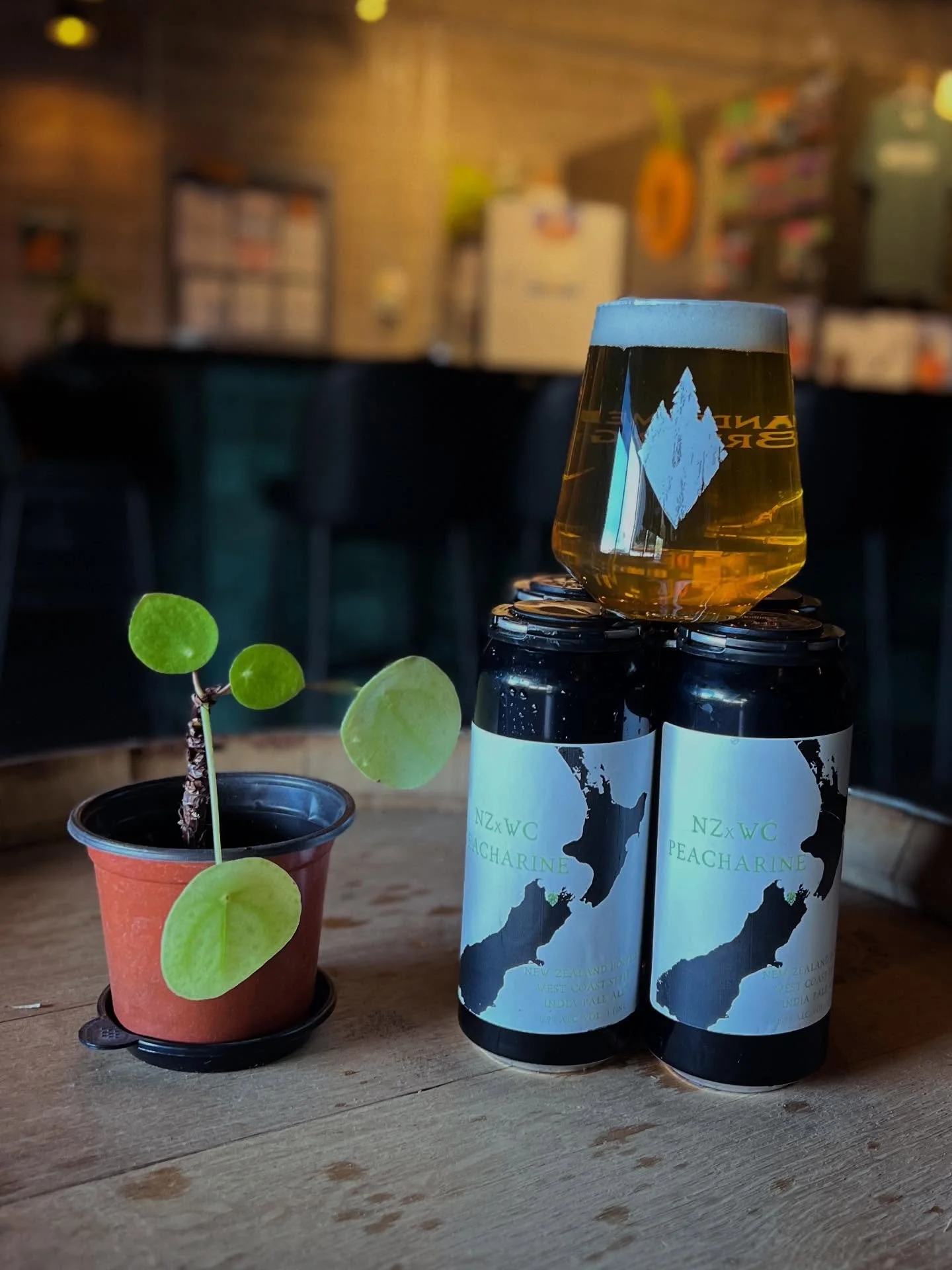 NZxWC Peacharine &bull; 6.9%

Oh yes we did.

We loved the last result of @freestylehops Peacharine hop kief so much that we couldn&rsquo;t just let the hazy fans enjoy it. The end result is something we&rsquo;re really excited about!

Lots of dank ?