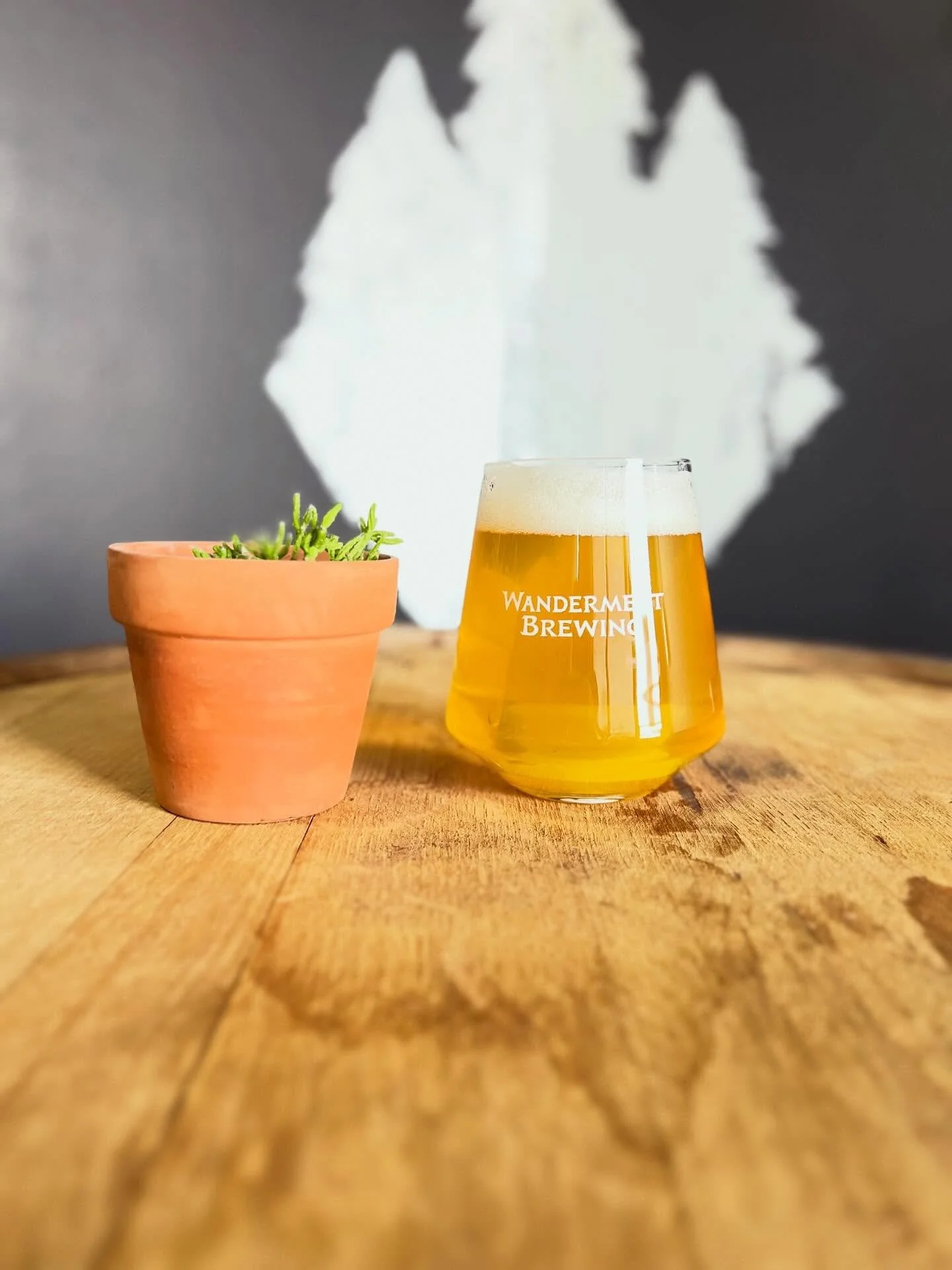 NZxWC Motueka &middot; New Zealand hopped West Coast IPA &middot; 6.7%

It&rsquo;s no doubt that we love Motueka at Wanderment, besides Citra it is probably the hop we&rsquo;ve utilized the most in all styles of our beers.

Motueka was used in all st