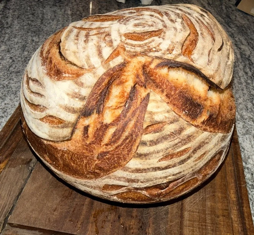 Sourdough Workshop 🍞 : Creation and Preservation Methods ✨