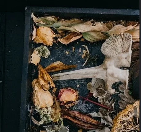 Nature's Finds Shadow Box