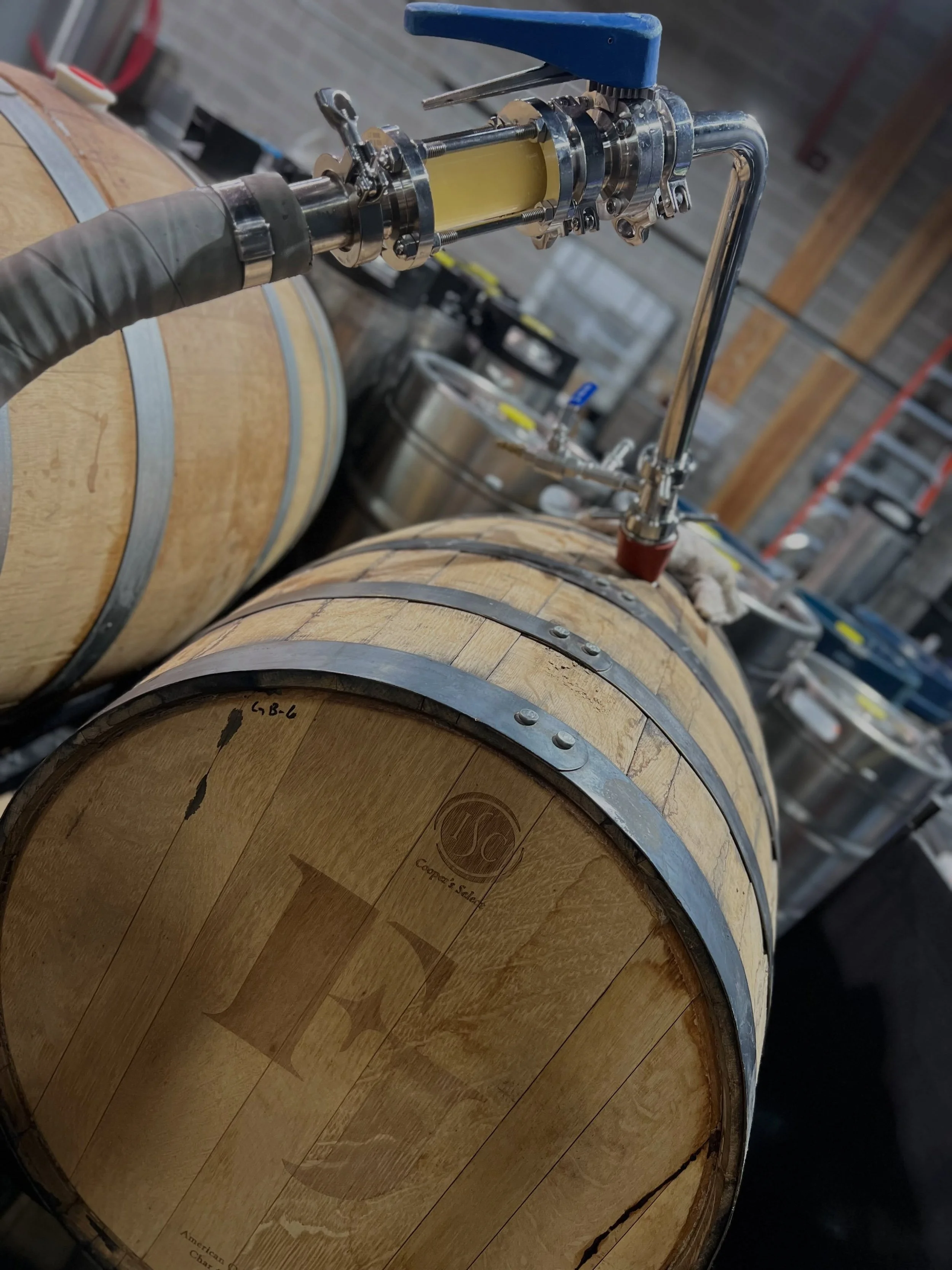 Young saison going into a freshly dumped gin barrel, few things can beat it.

#saison #wandermentbrewing