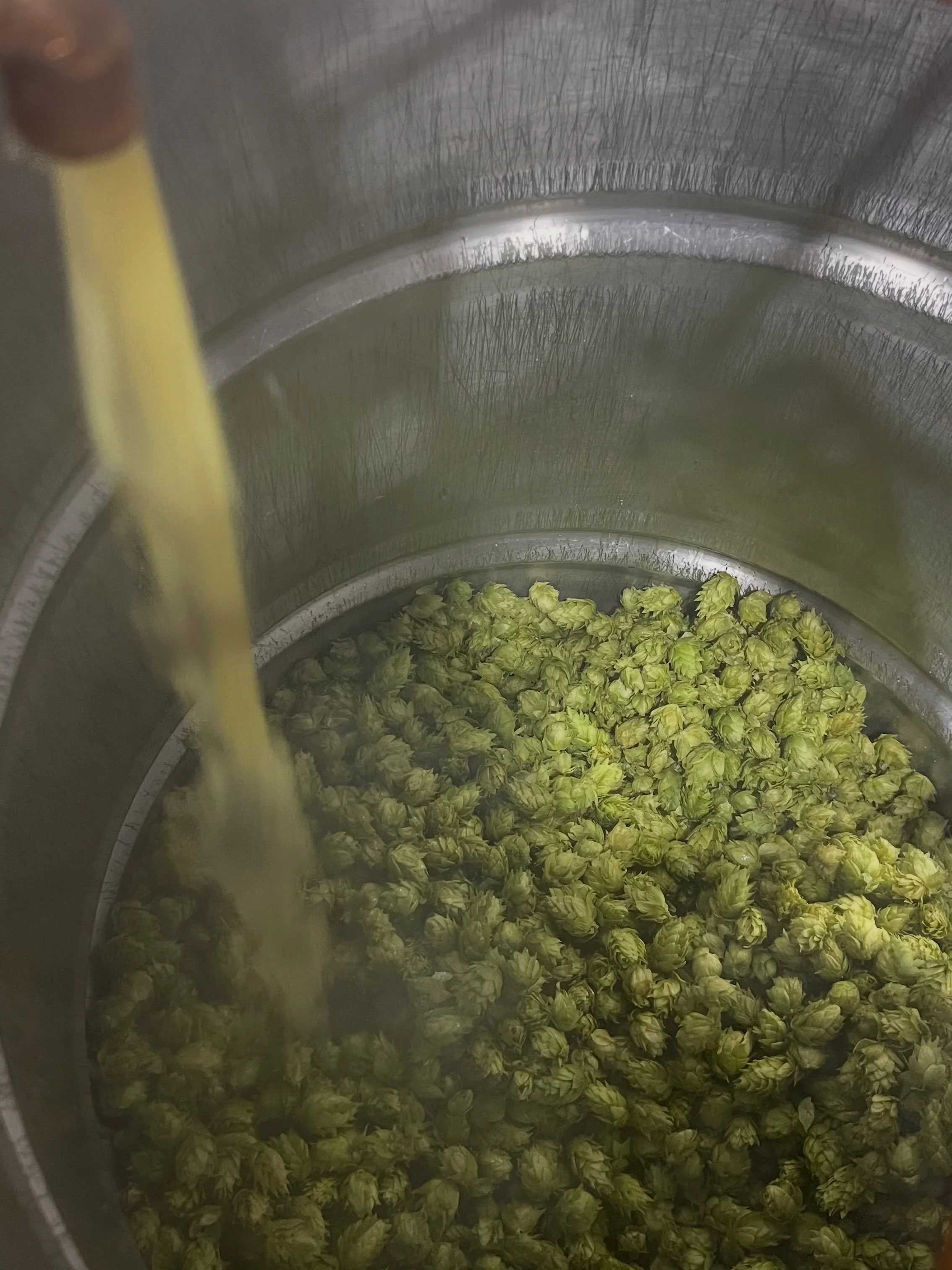 It&rsquo;s the beginning of the best time of the year for breweries, fresh hops!

We went with 100% chinook from our favorite Colorado hop farm @billygoathopfarm again because last year&rsquo;s Limited Presence West Coast IPA came out truly special.

