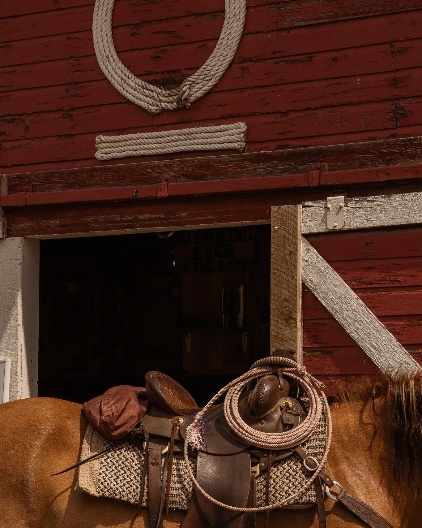 This September, saddle up for the Cowboy Way, the western adventure of your dreams 🤠🐴 Improve your skills in and out of the saddle while joining us for this exclusive six-night special: www.circlebarranch.com/cowboy-way 

📸: @kellersnaps 

#circle