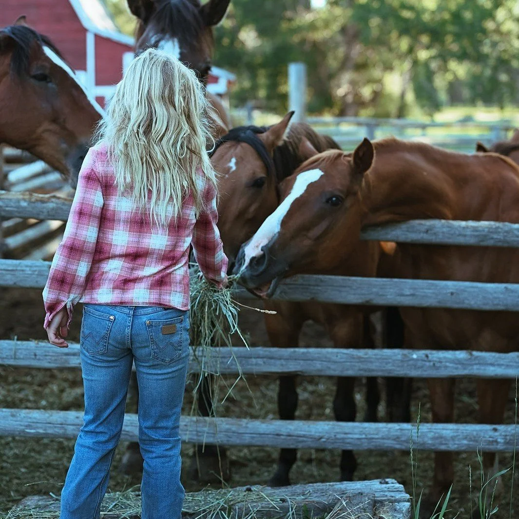 Have an unforgettable experience with the whole family this summer with our new Buckaroo Kids&rsquo; Program! Little Buckaroos visiting the ranch are welcome to enjoy a variety of western adventures with the family as well as their peers, along with 