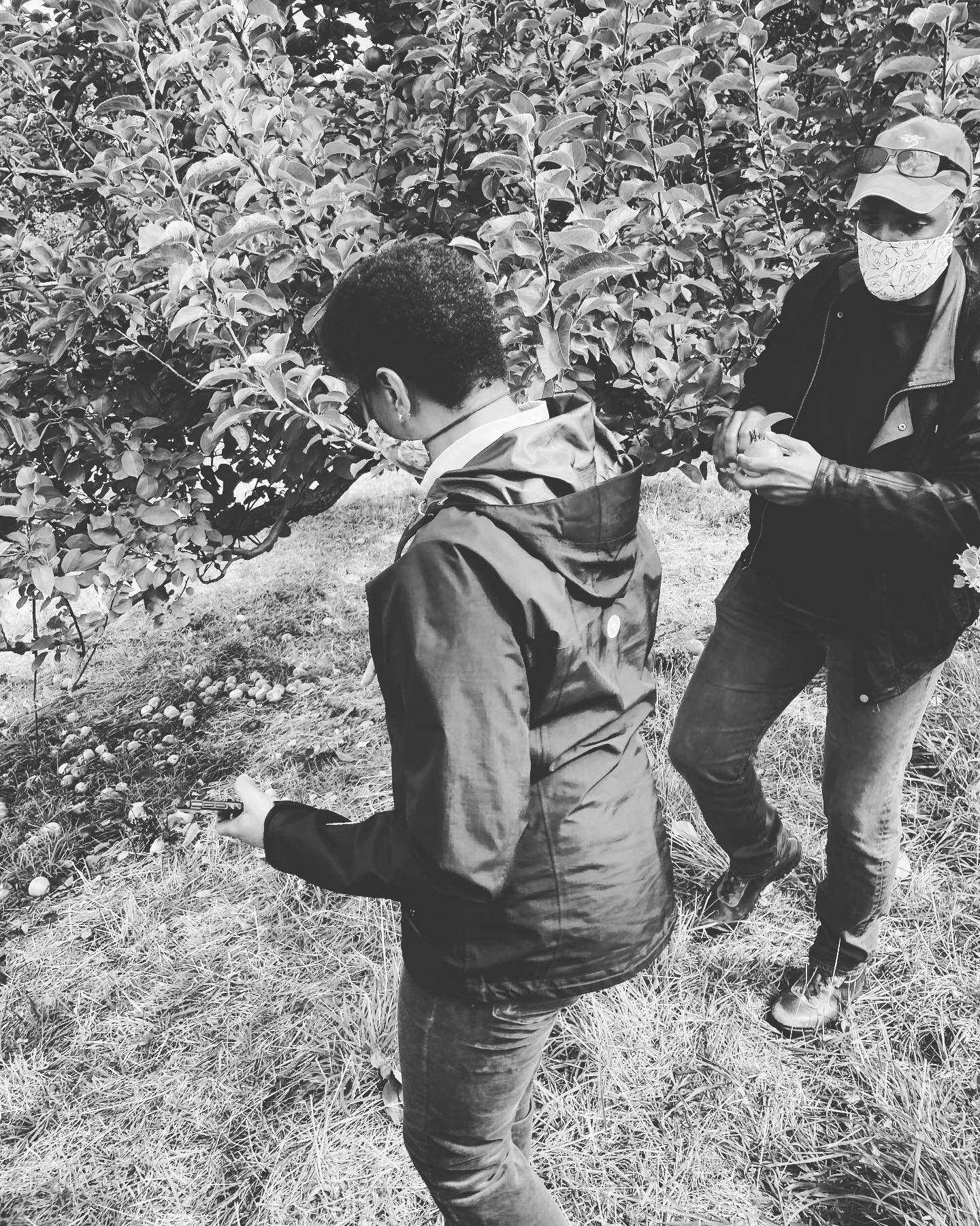 Apple Picking !! Hope your Sunday is filled with love and joy.

#lynettesthoughts #lynettewilliamsmusic #lynettewilliams
