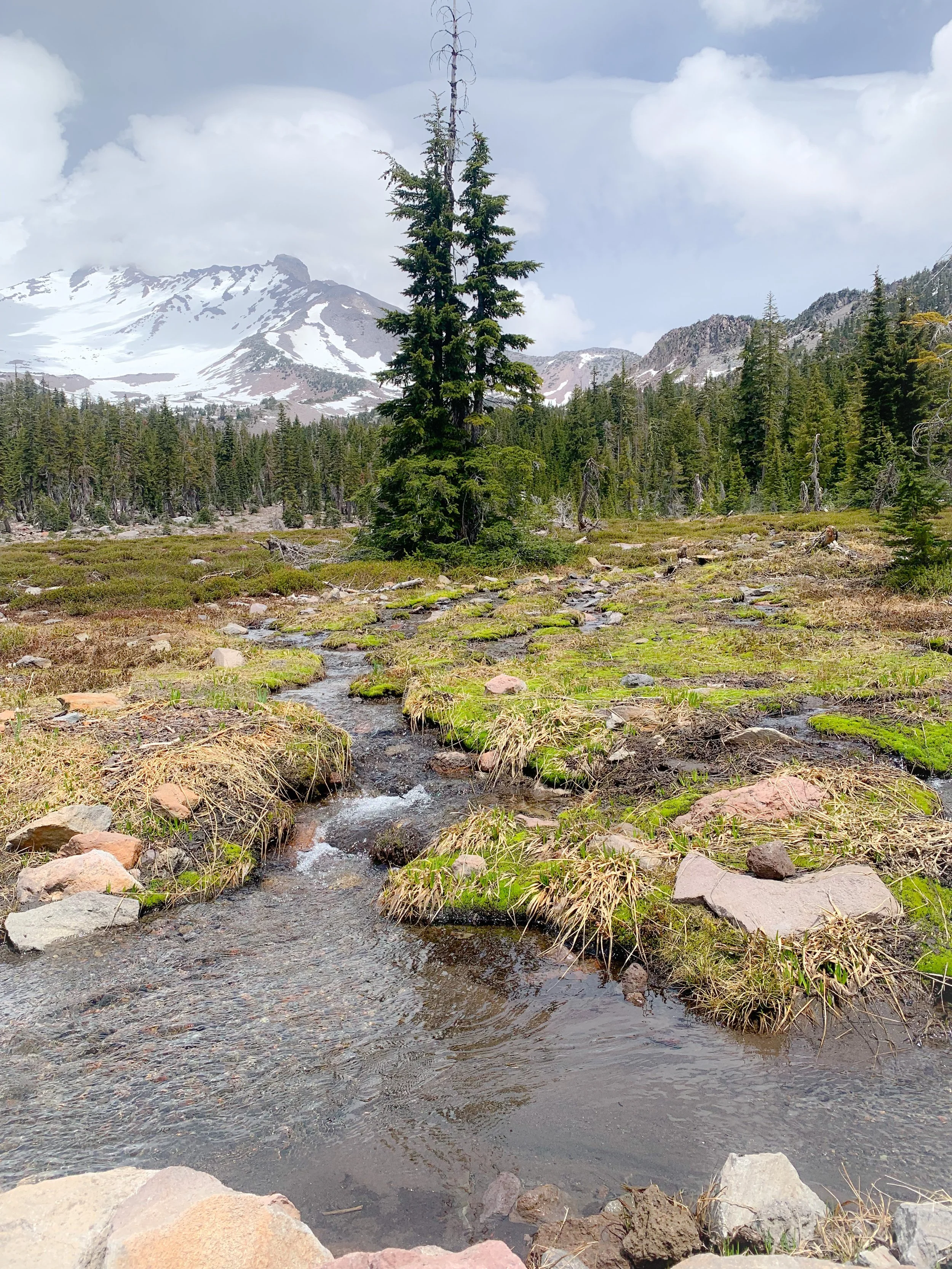 Mount Shasta October Retreat
