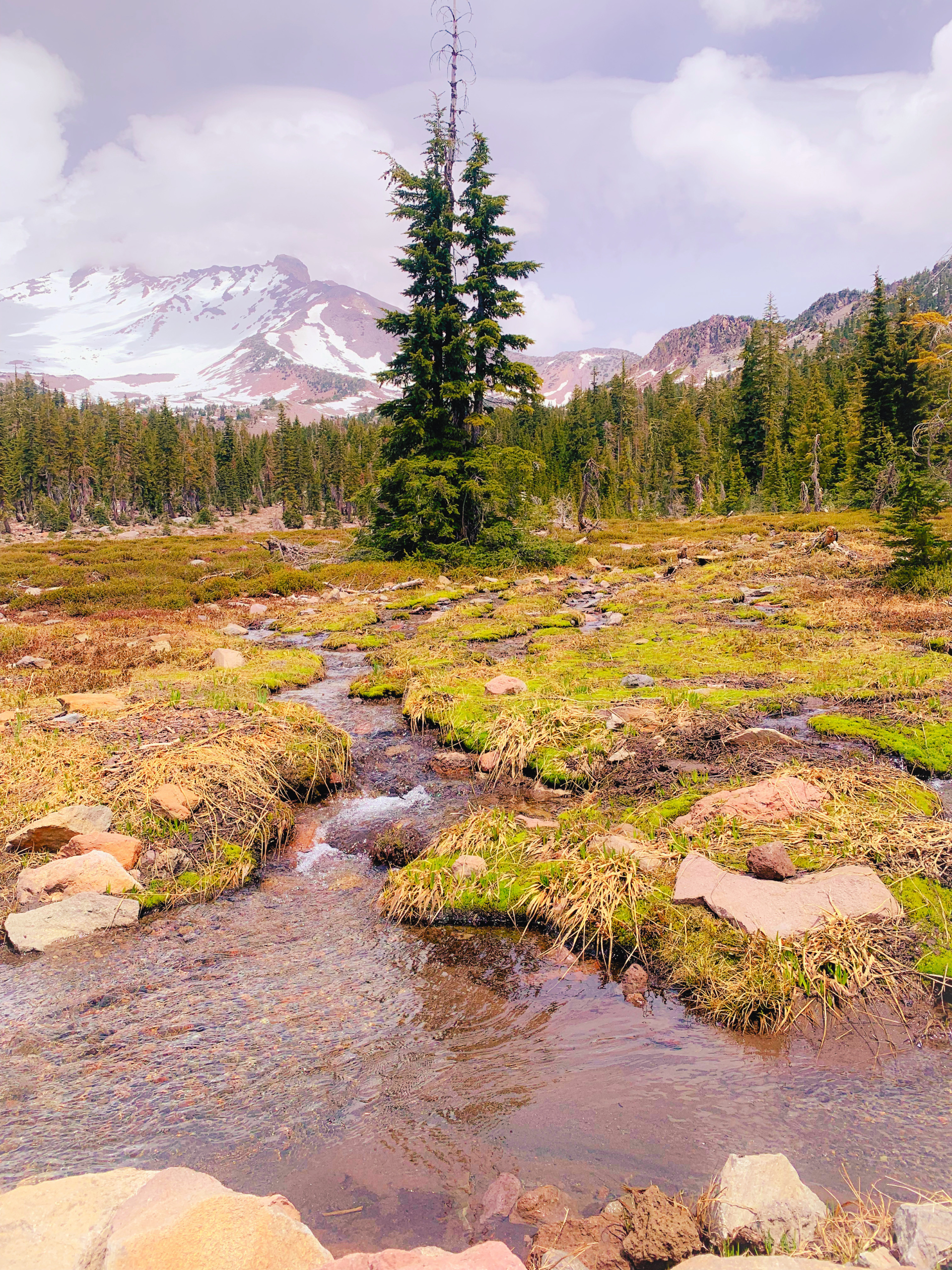 Mount Shasta October Retreat