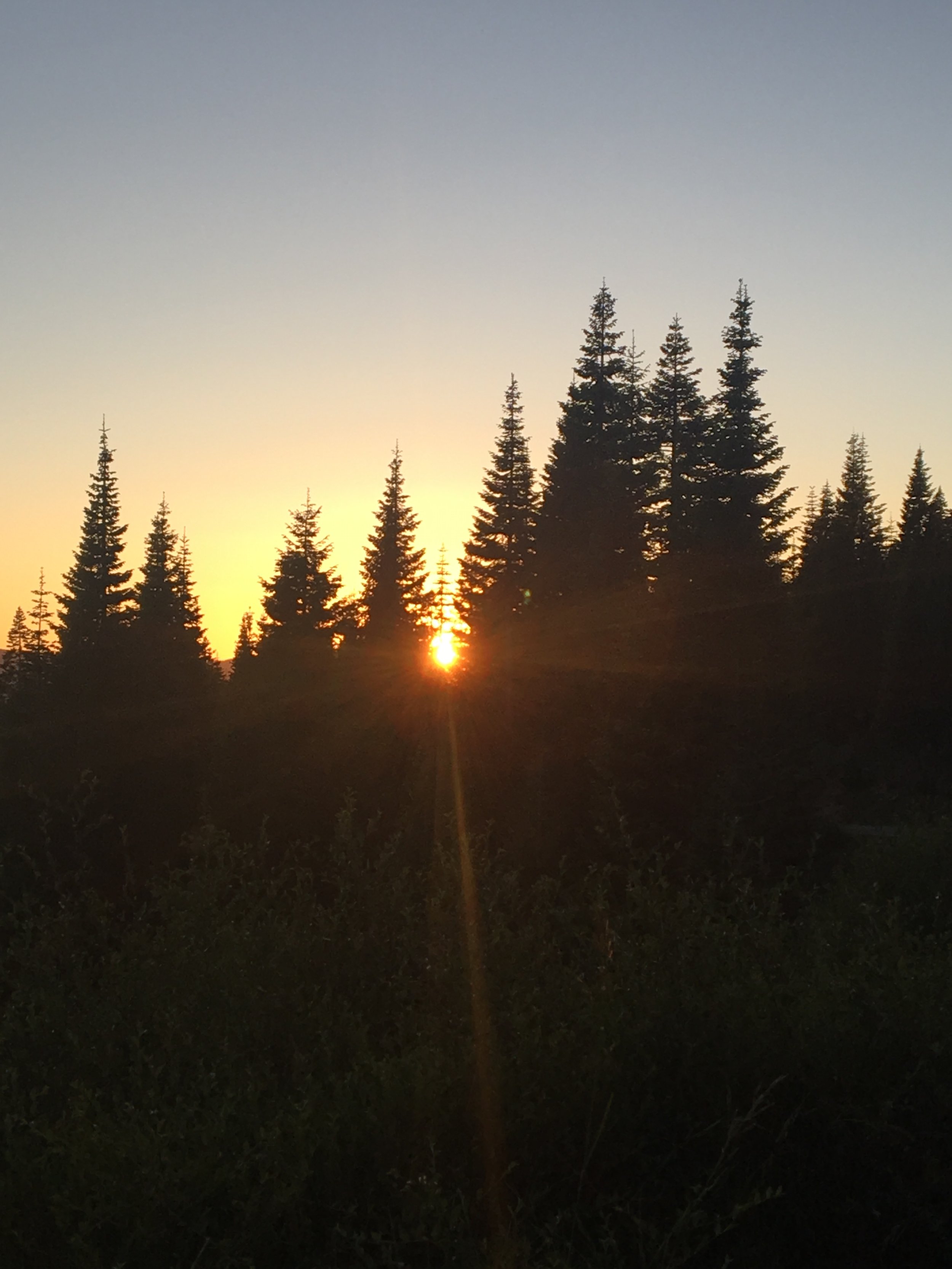 mst shasta sunset 2.JPG