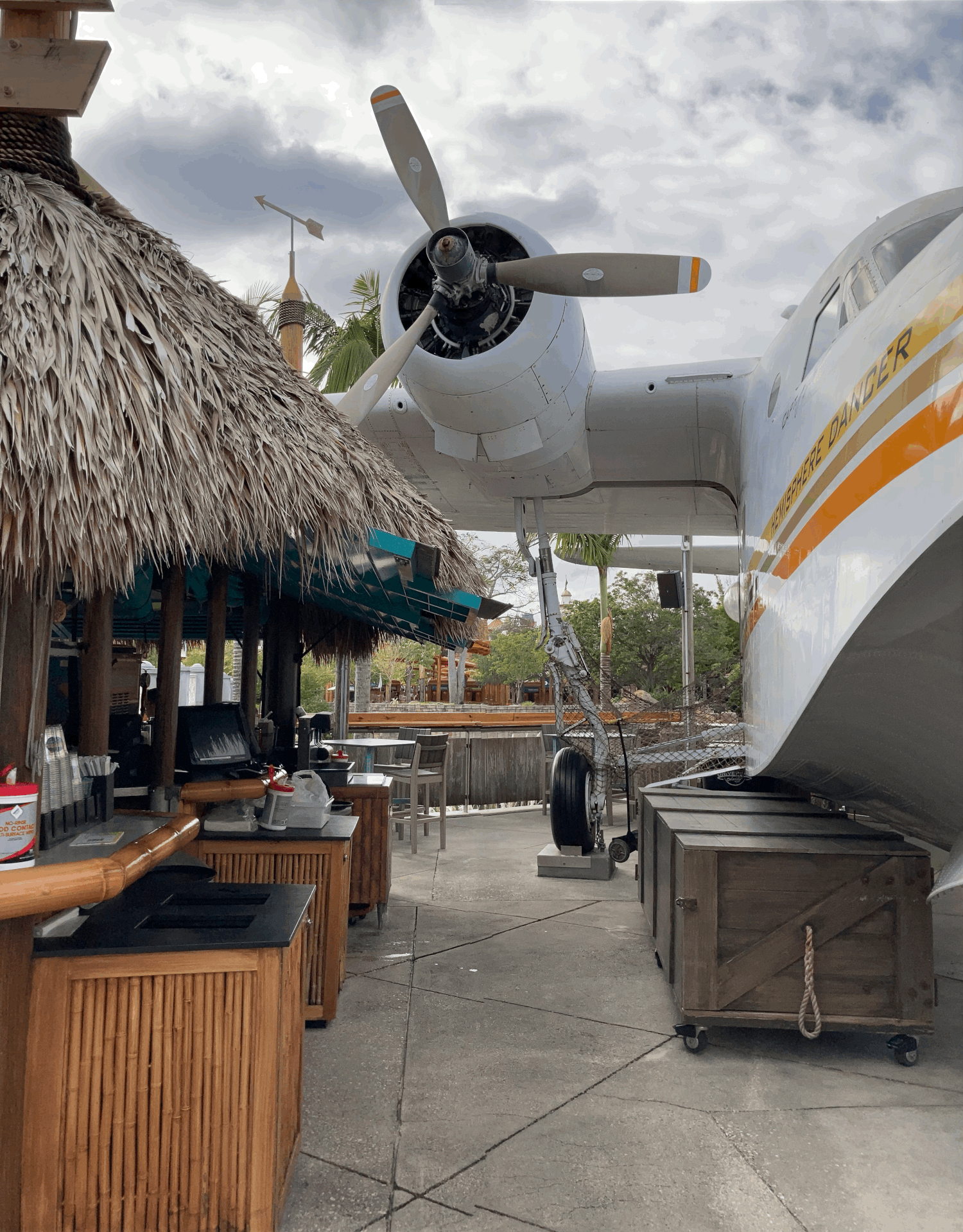 Charlie's Niece Airways