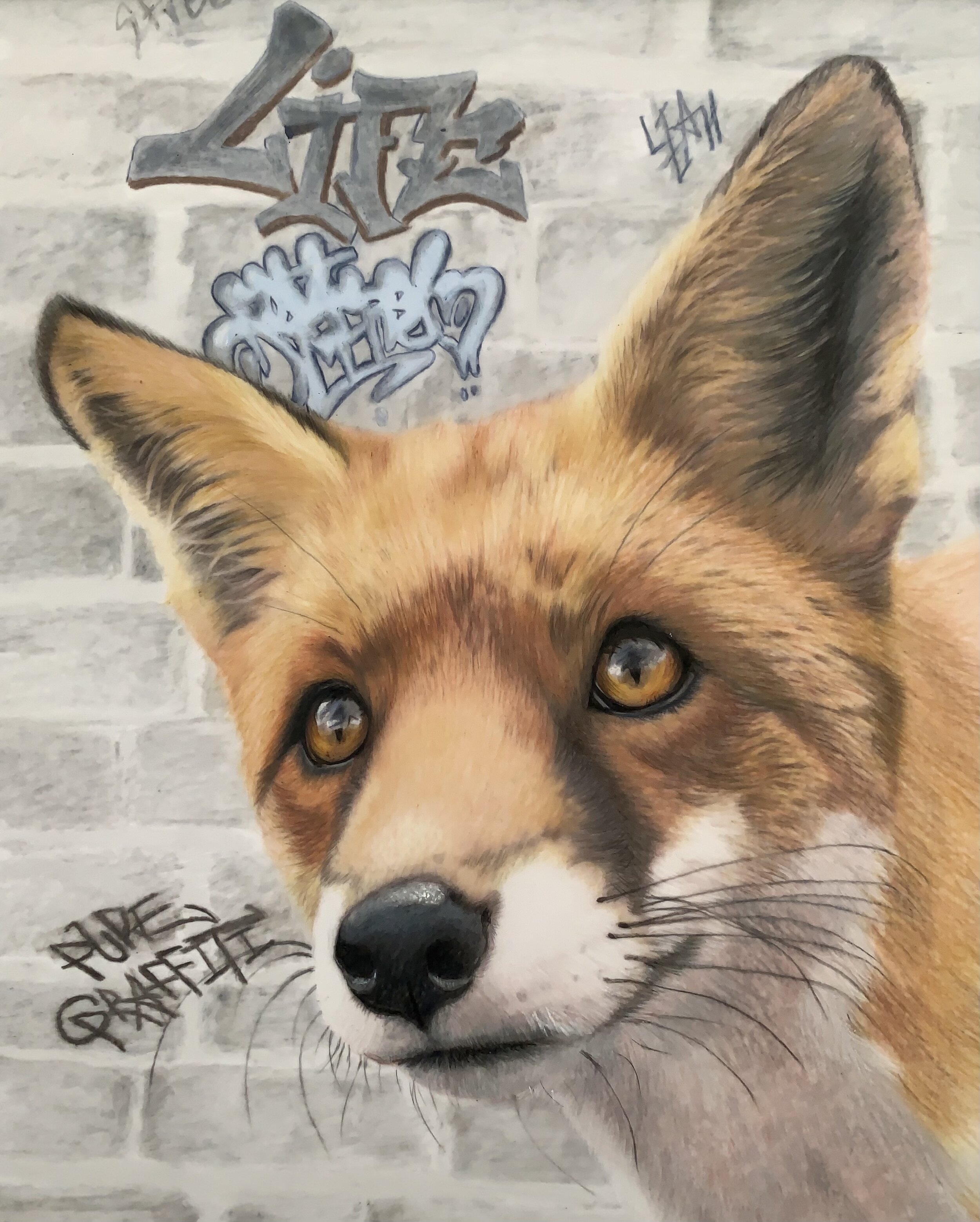 Original “Pure Graffiti”