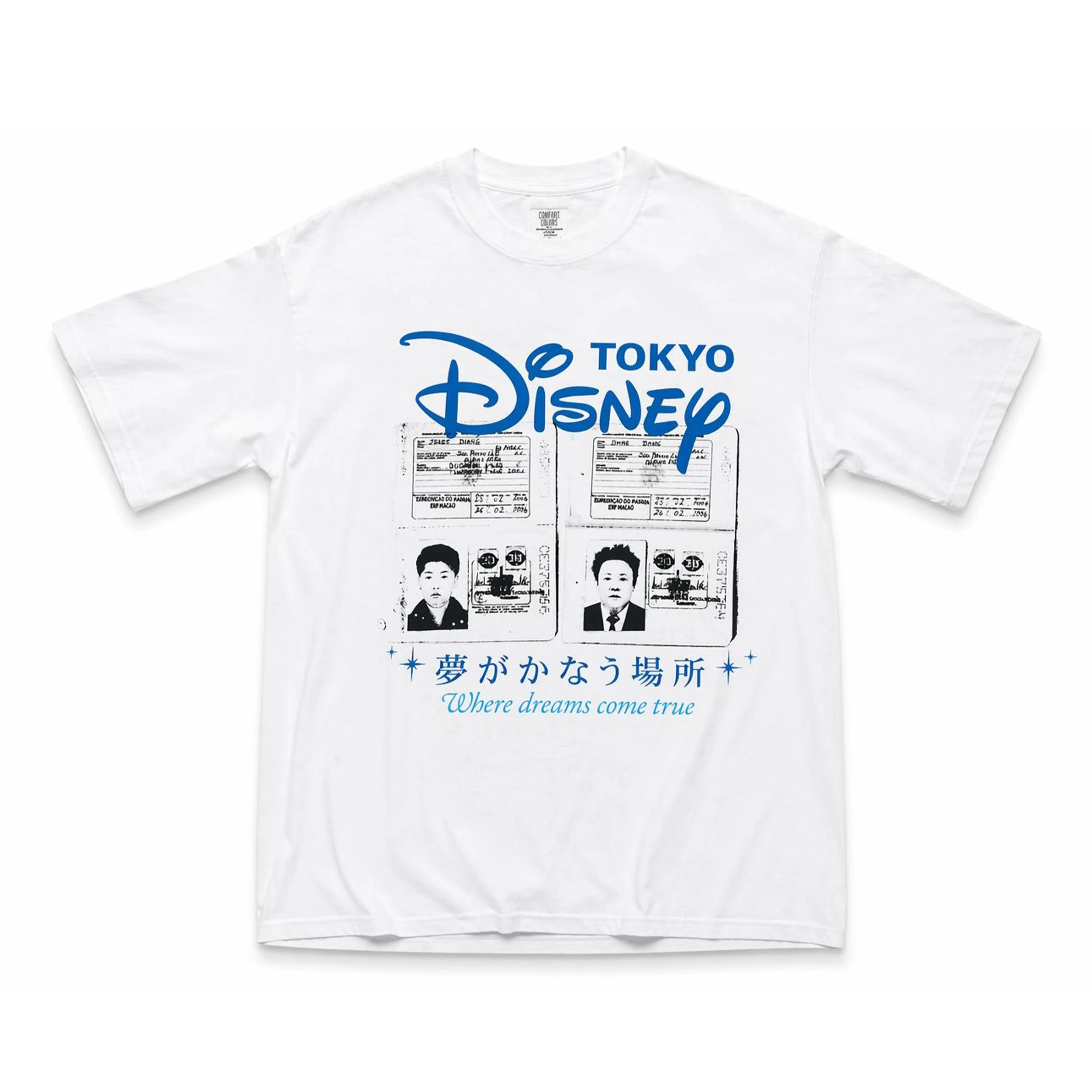tokyo disney mock up.jpg