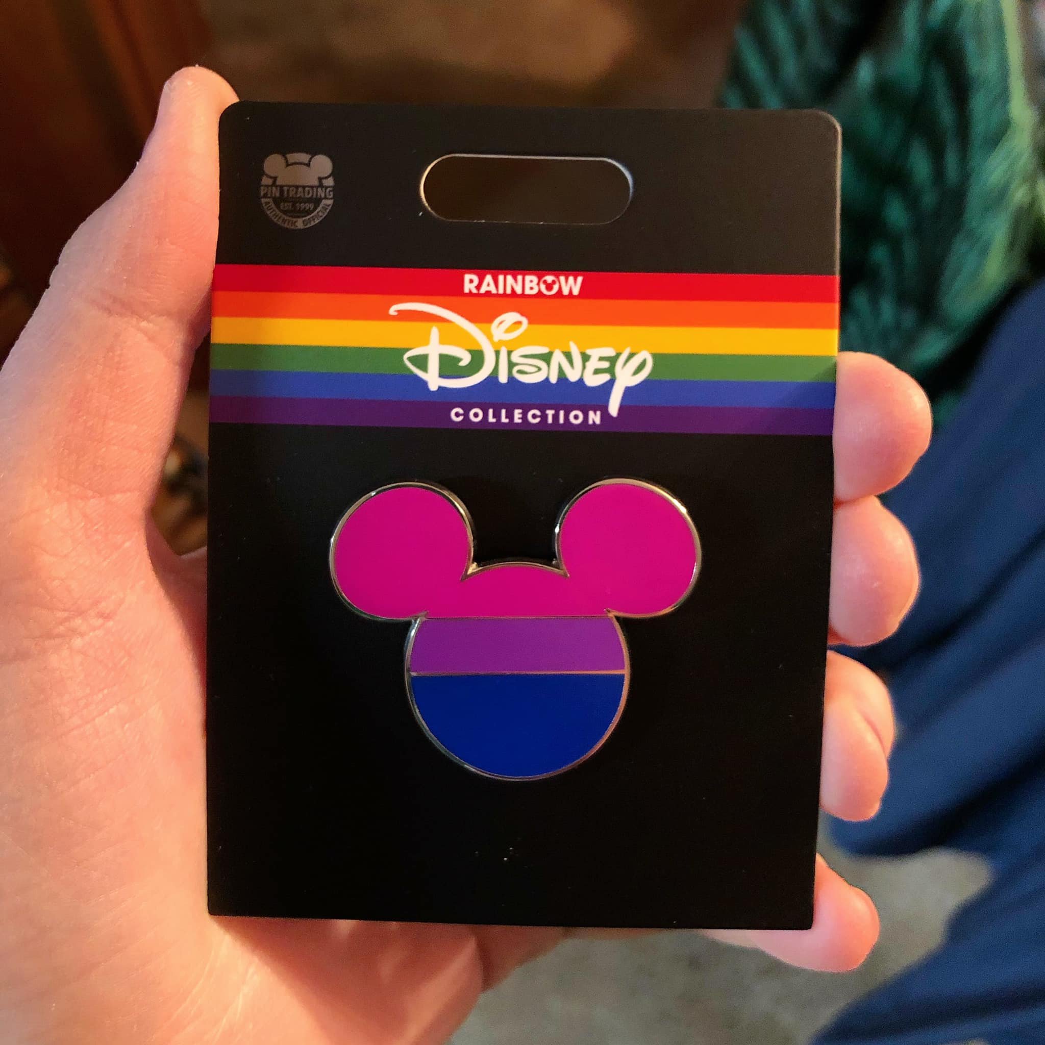 DisneyBi.jpeg