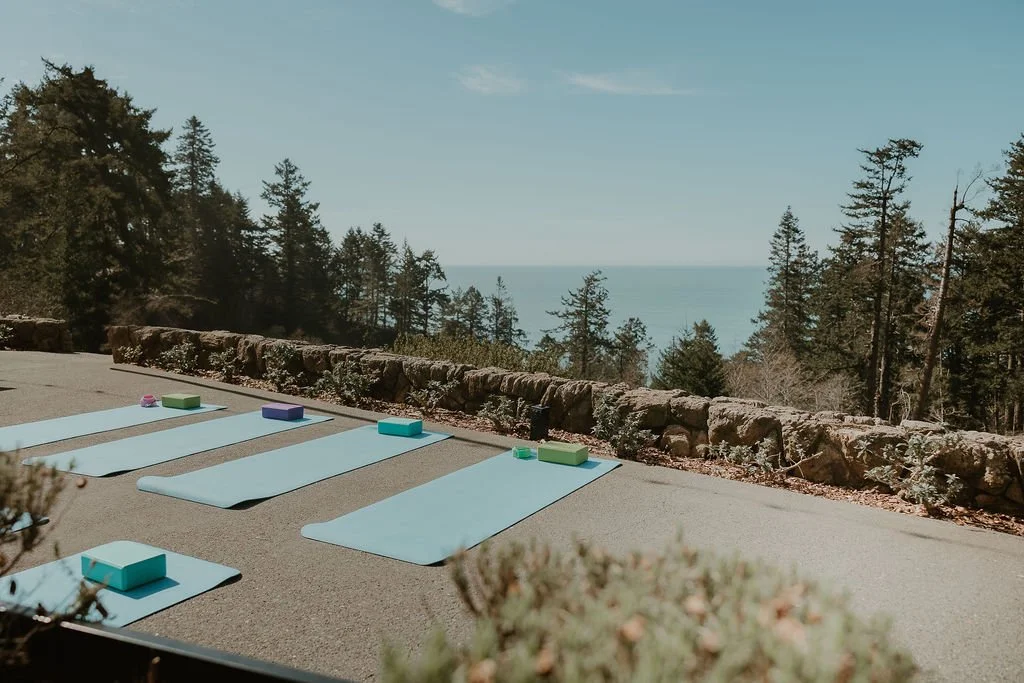 Four light blue yoga mats laid out on an outdoor paved surface overlooking a forest and ocean, with colorful yoga blocks placed on each mat.
