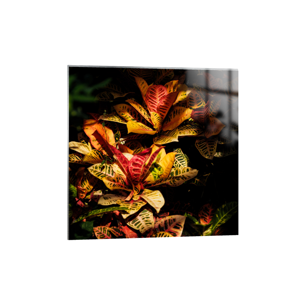 ptq_13_0_0_614_1706_1706_0_false_ffffff_0_0_.png