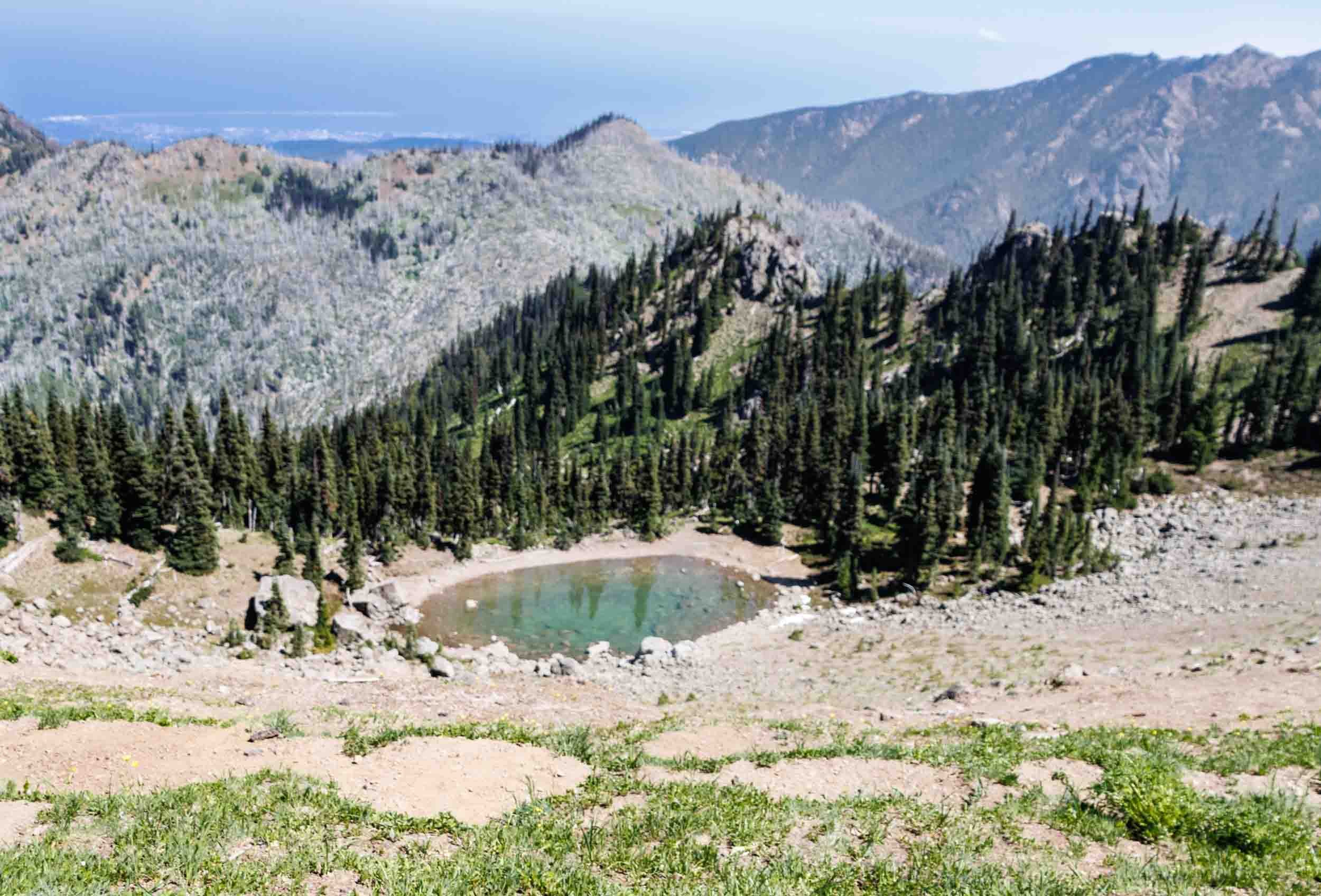 The top with a lake.jpg