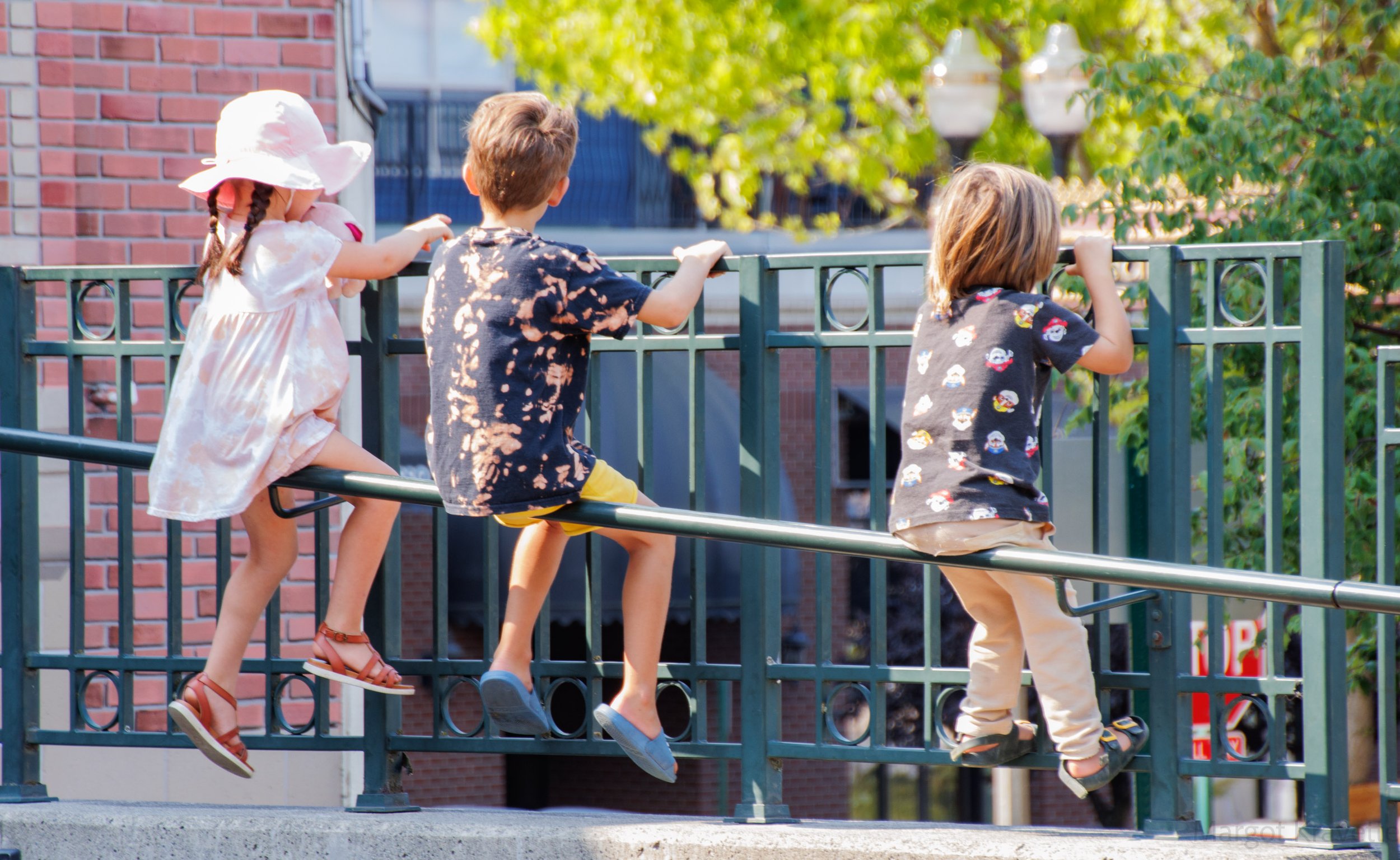 Kids on Fence.jpg
