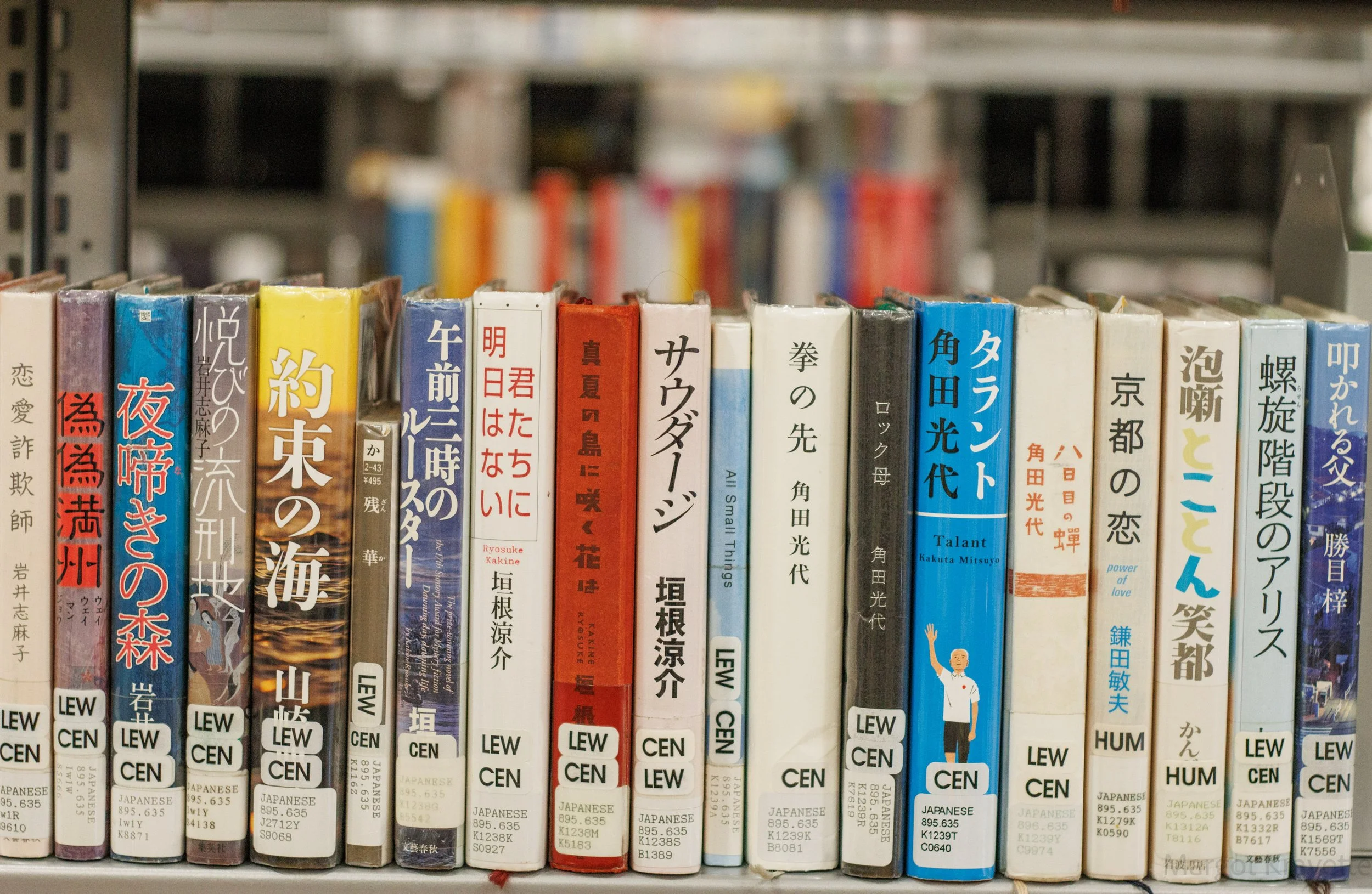 Library-9514.jpg