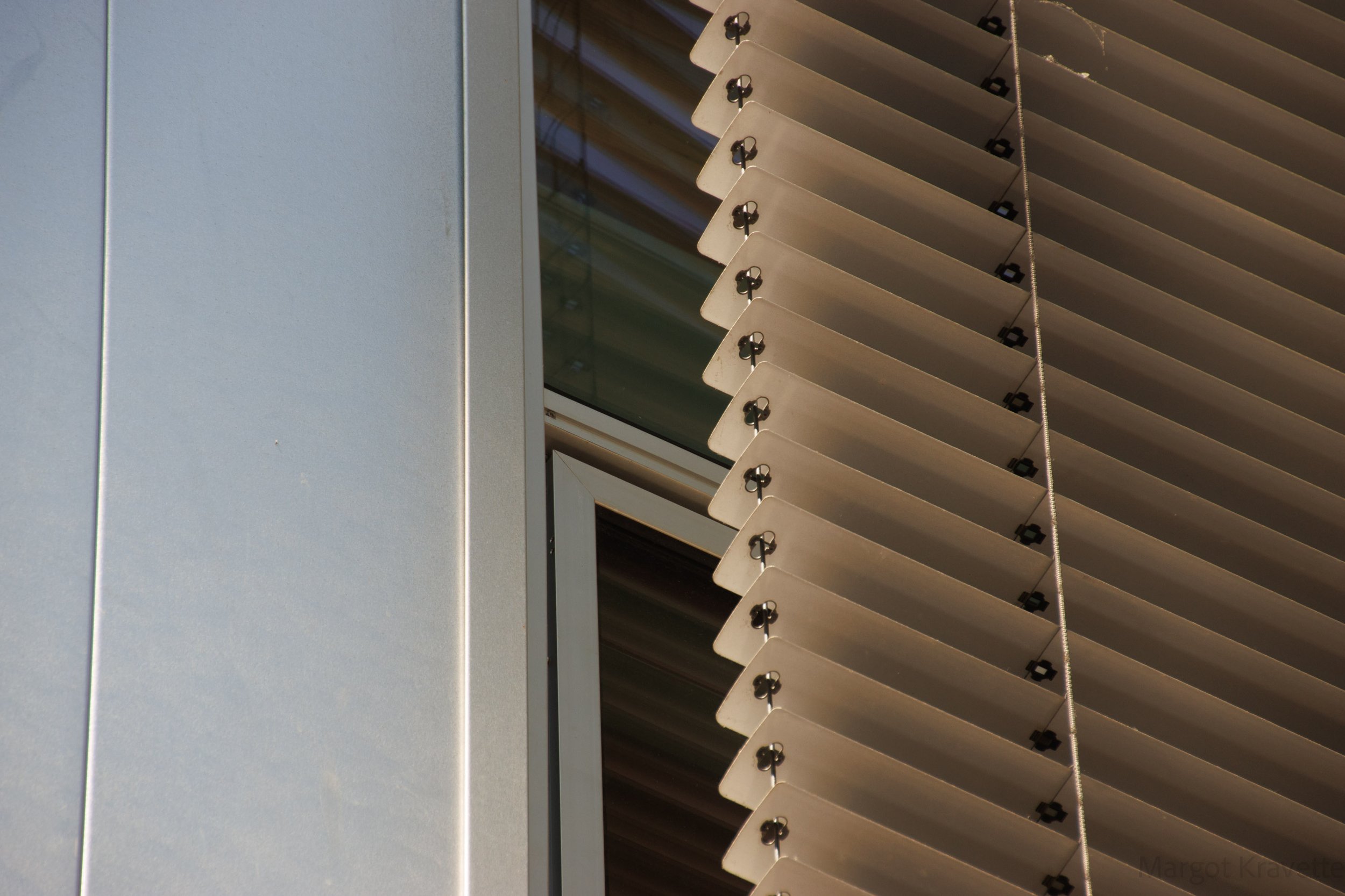 blinds close up-3263.jpg