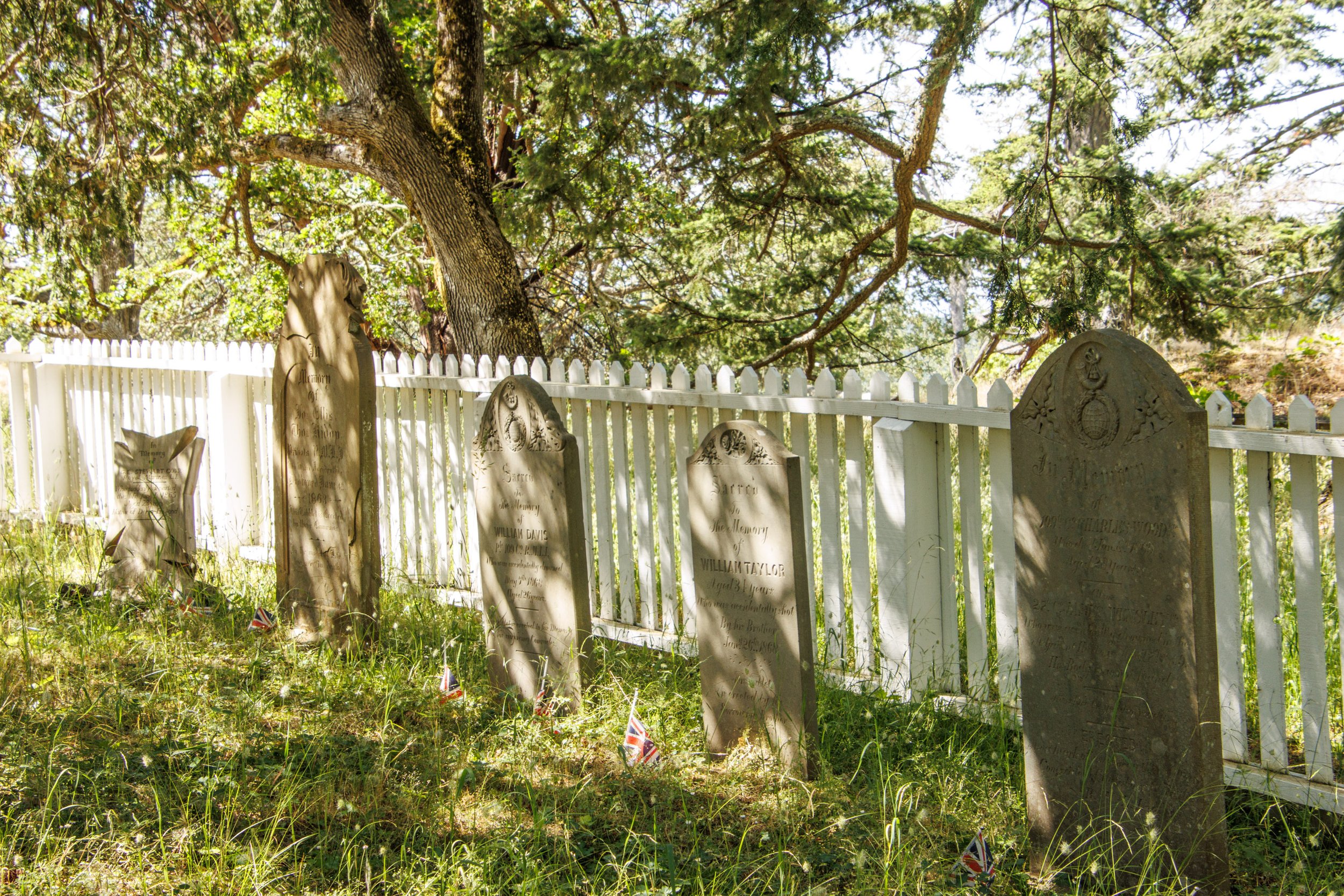 Cemetery-3786.jpg