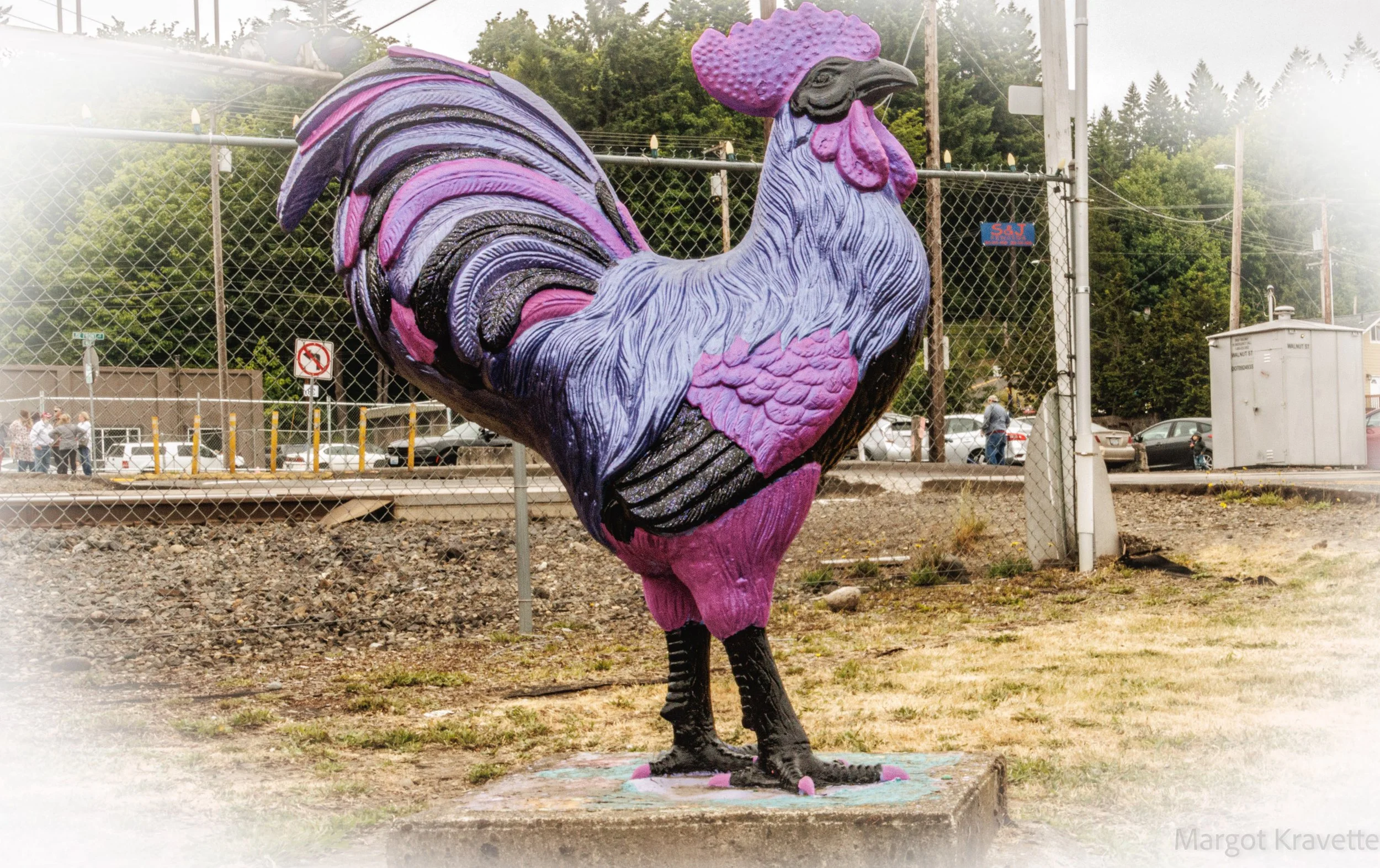 Rooster - 4-4298.jpg
