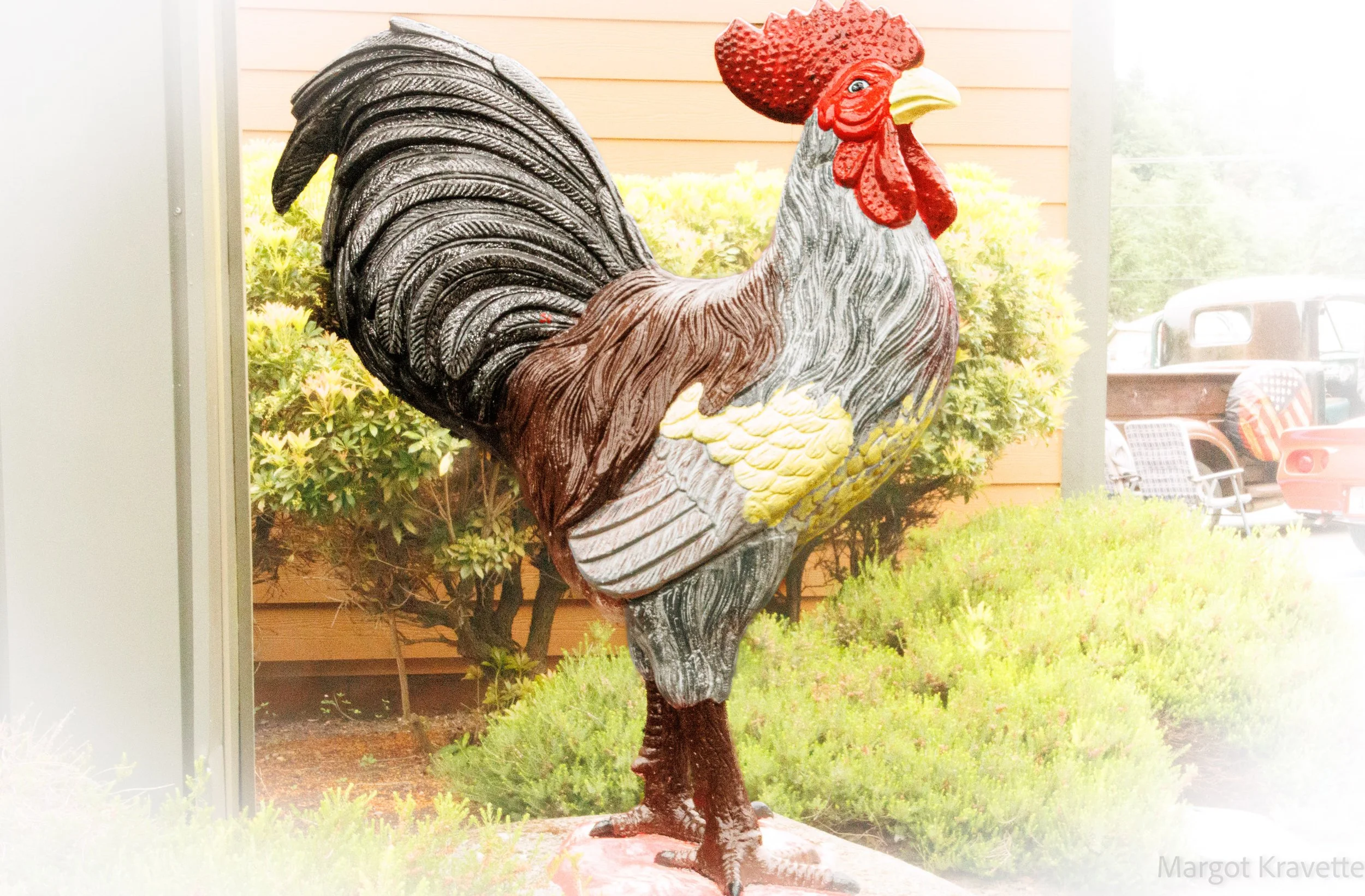 Rooster - 3-4282.jpg