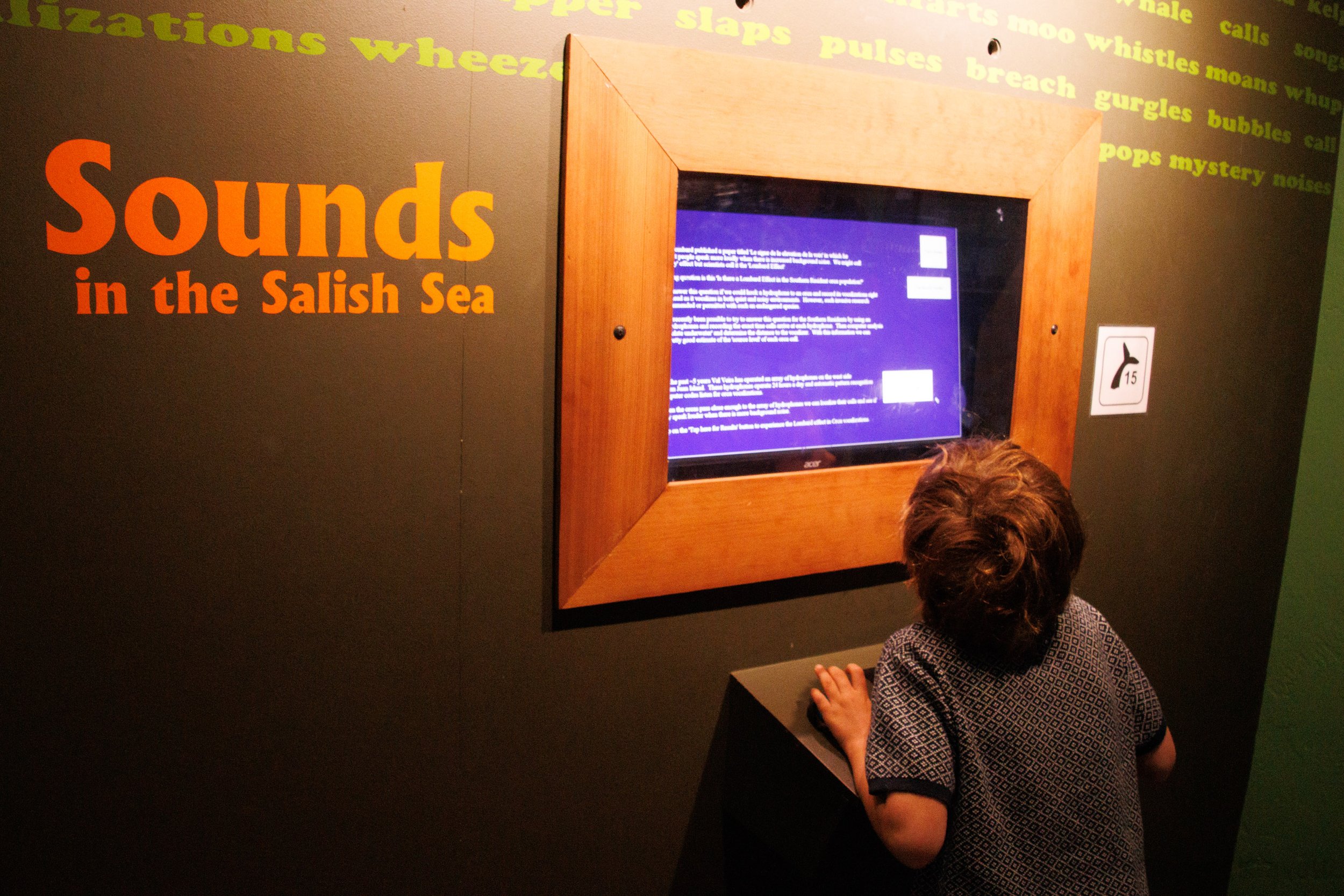 Whale Museum sounds-3314.jpg