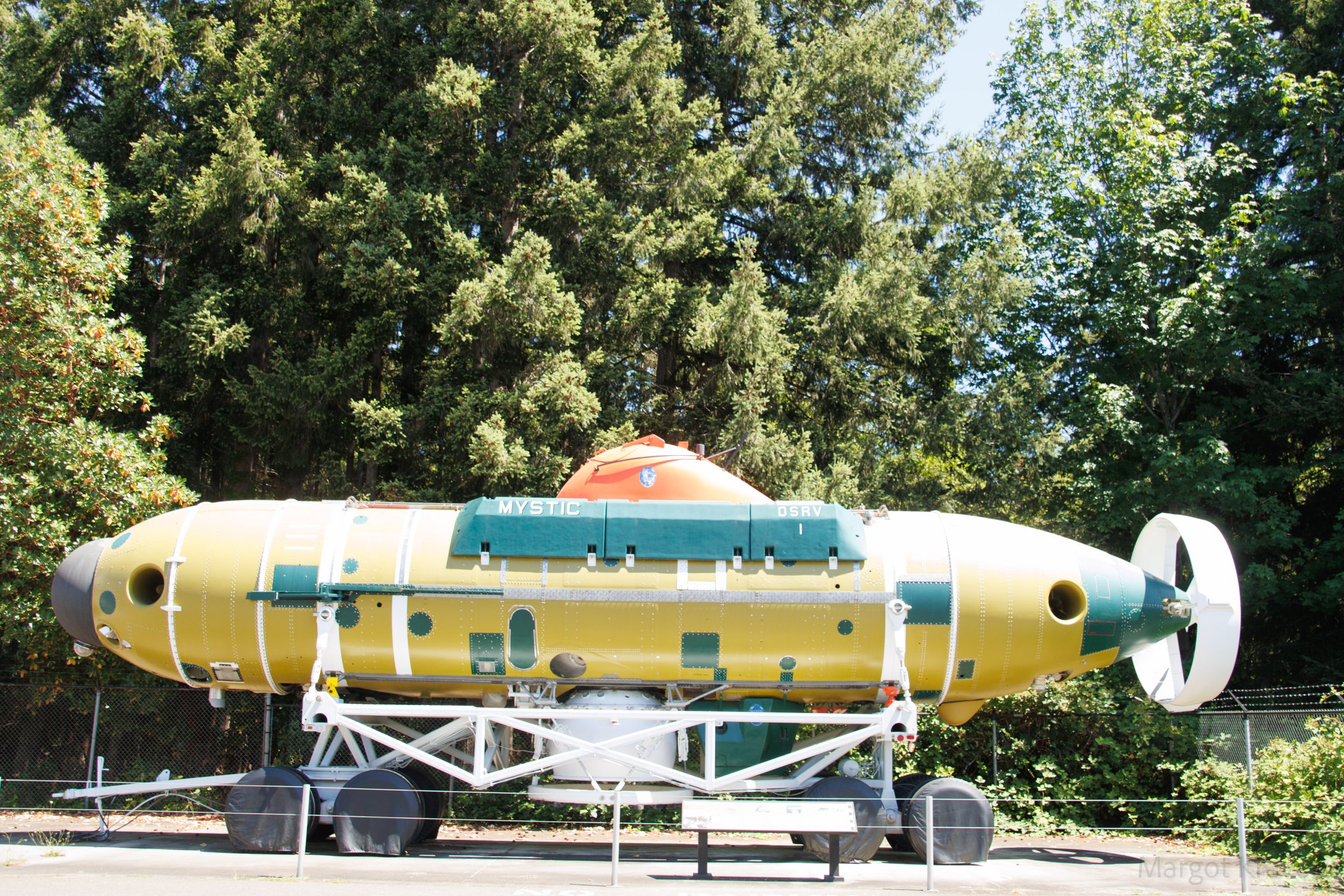 Undersea - yellow submarine-4643.jpg