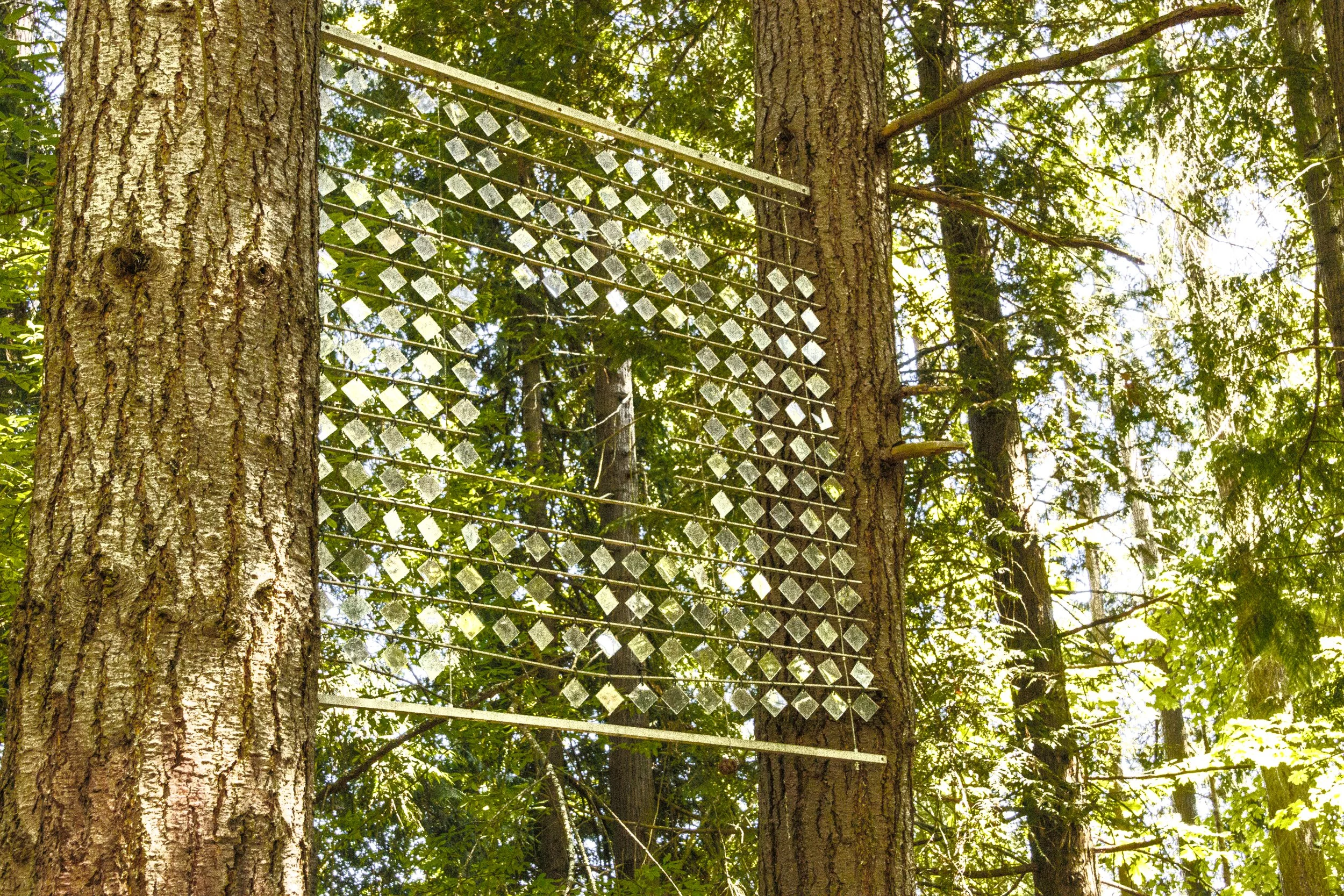 Sculpture garden-2.jpg