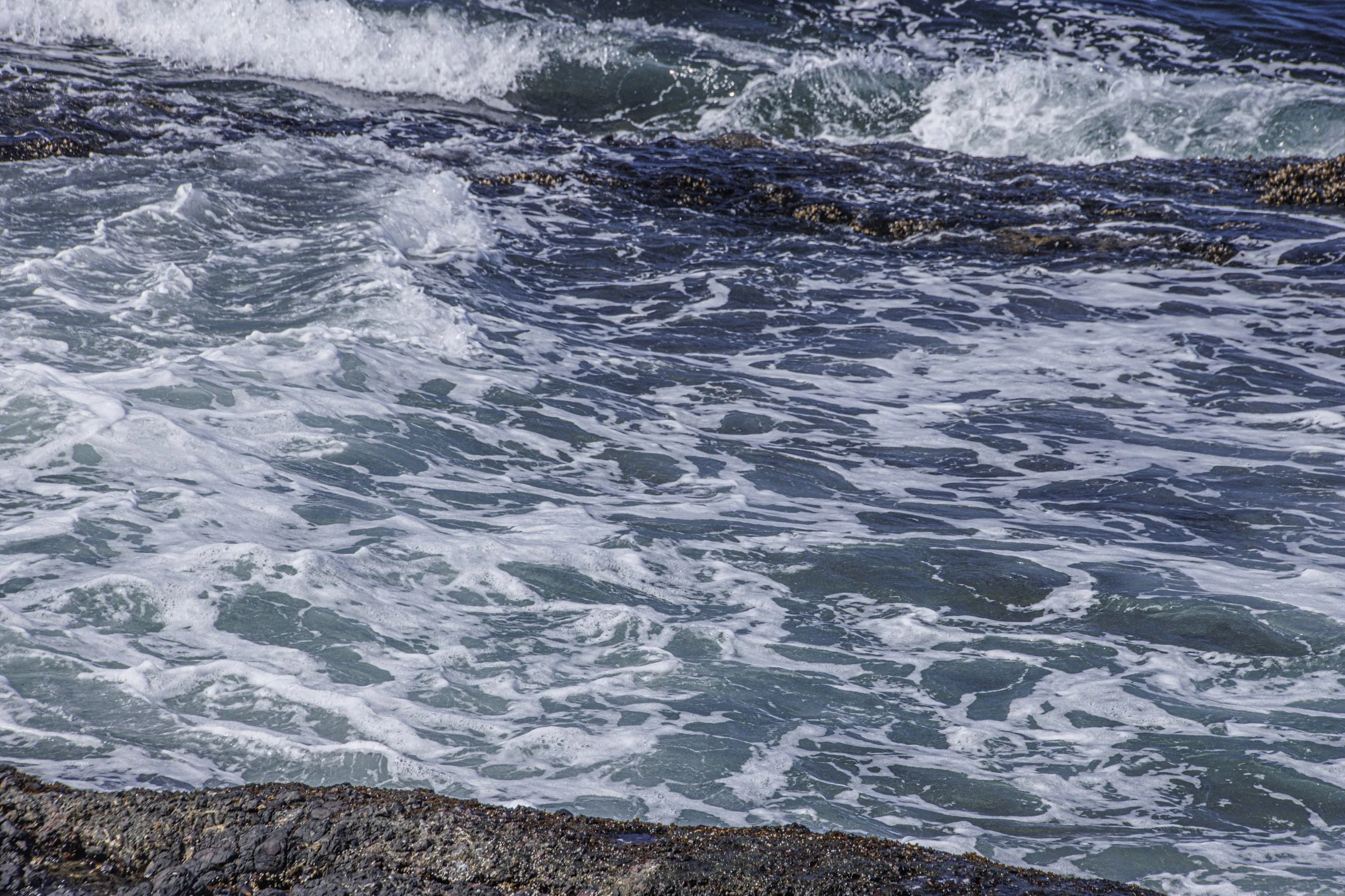 tide pools-3766.jpg