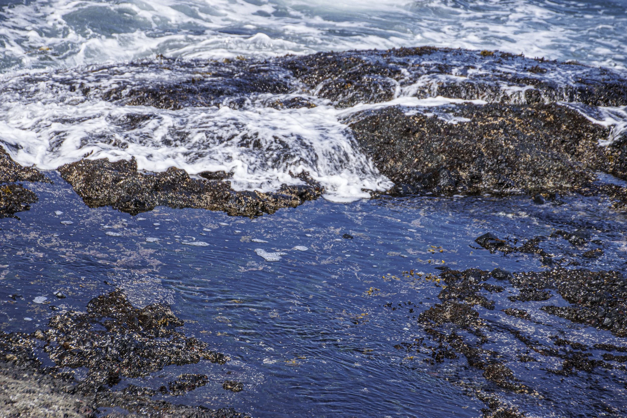 tide pools-3753.jpg