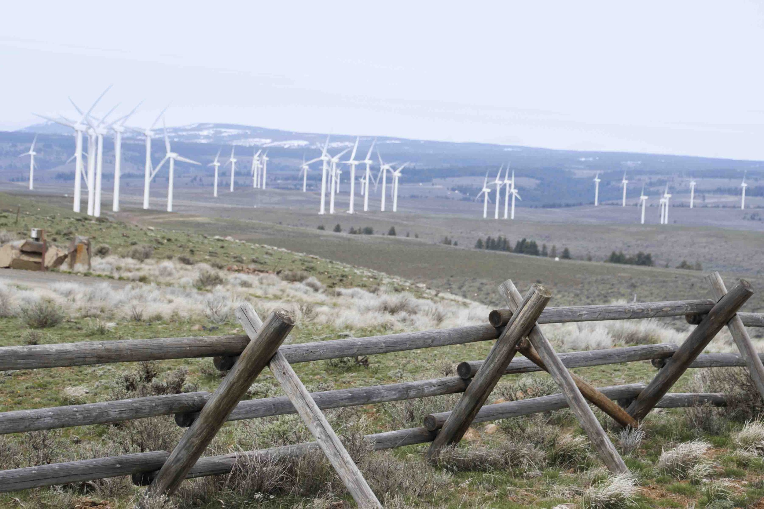 wind turbines and fence.jpg
