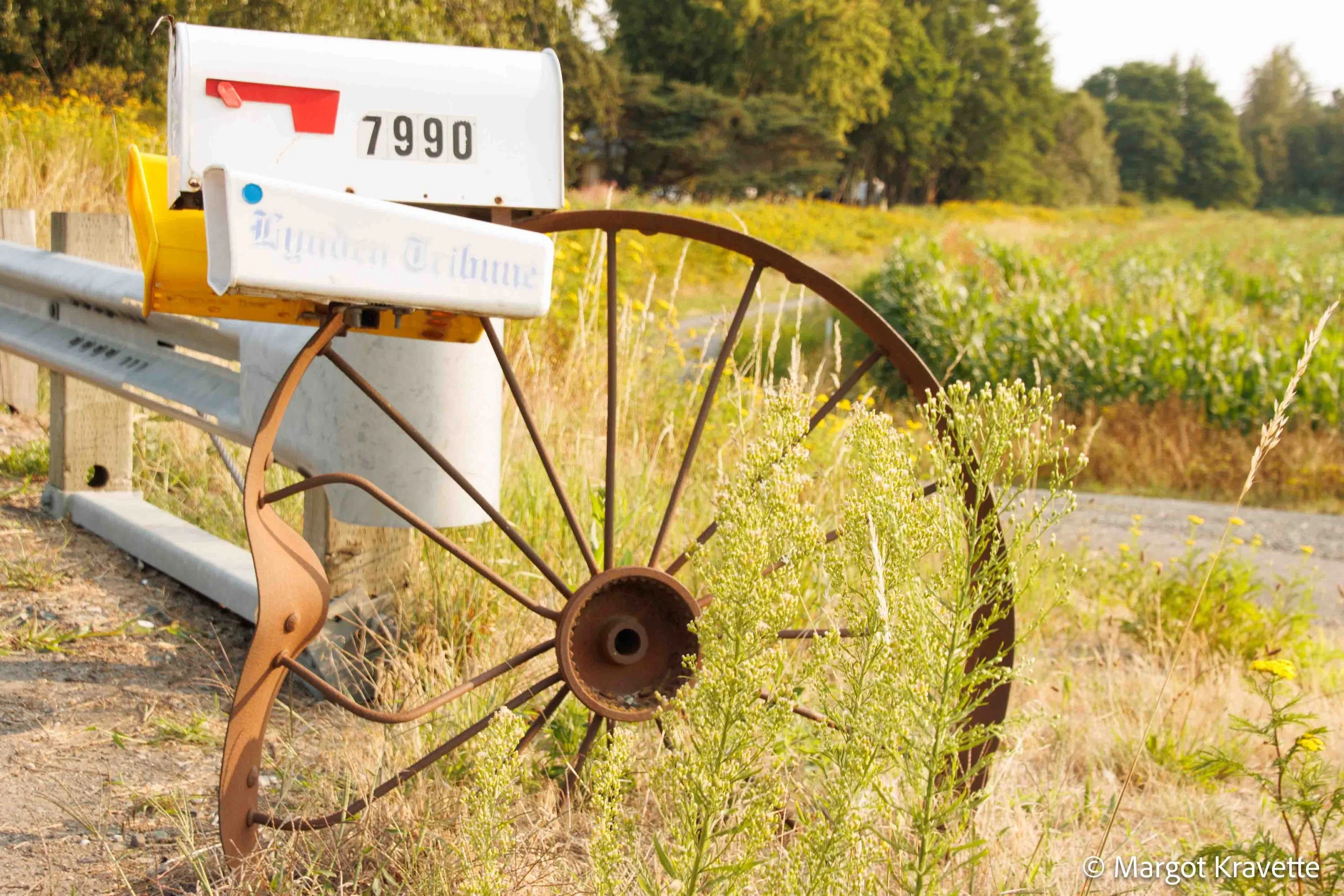 Wheel and Postbox-8518.jpg