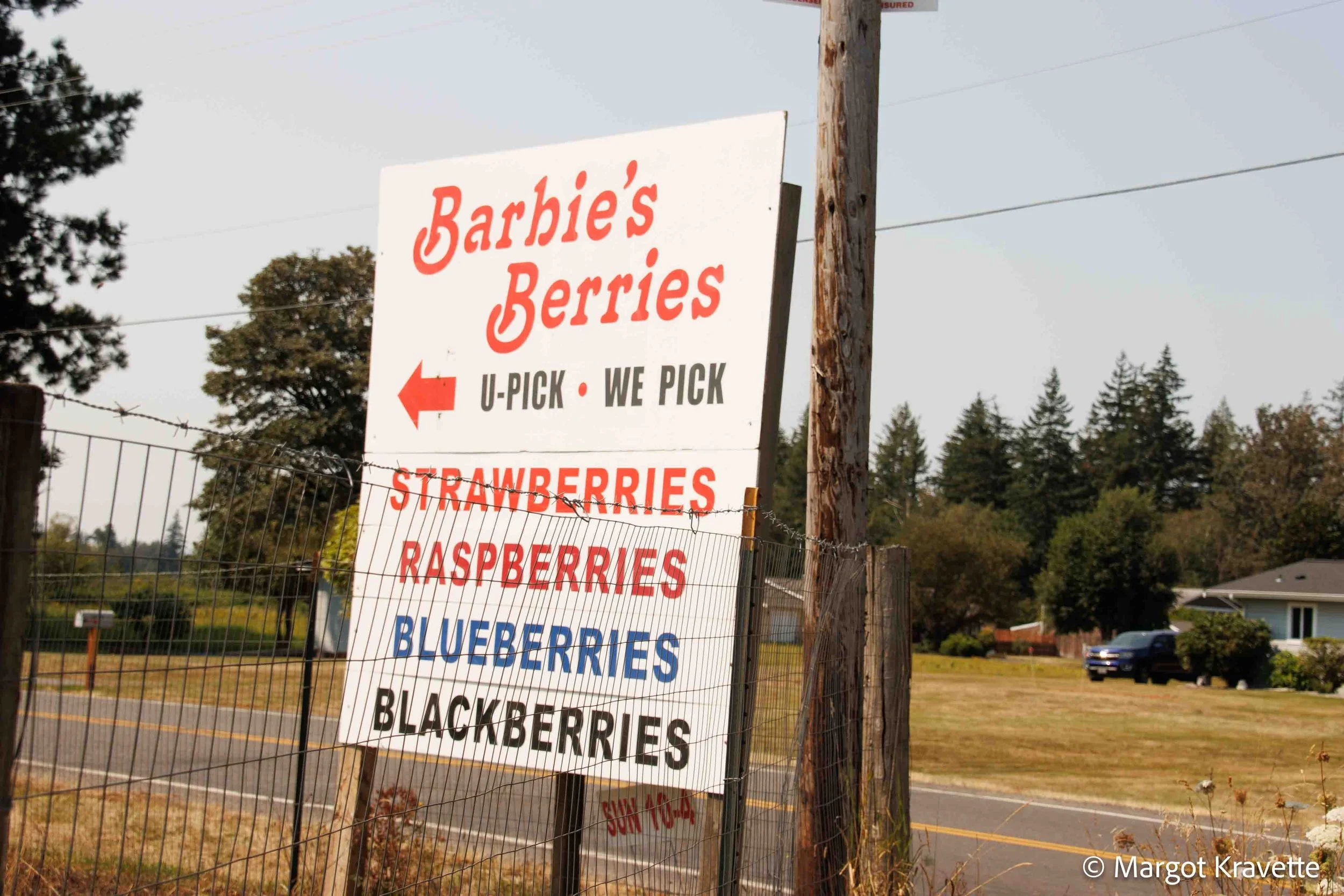 Barbies Berries-8528.jpg